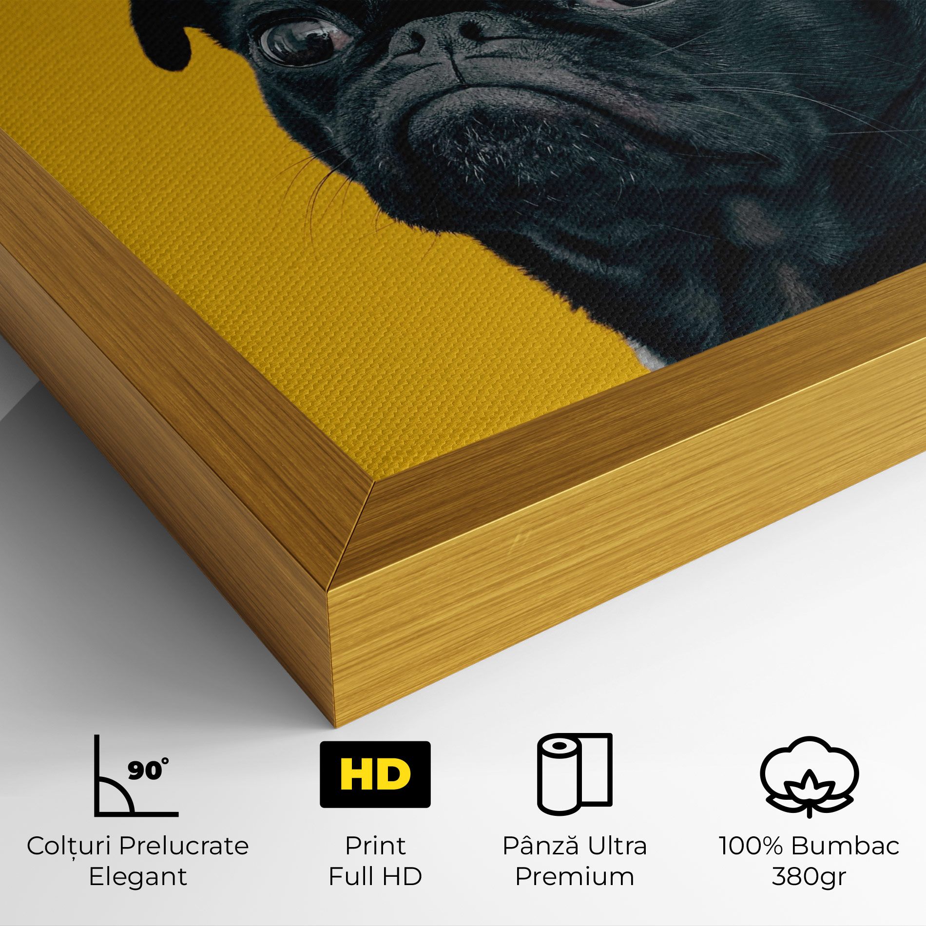 Black Pug mockup 4