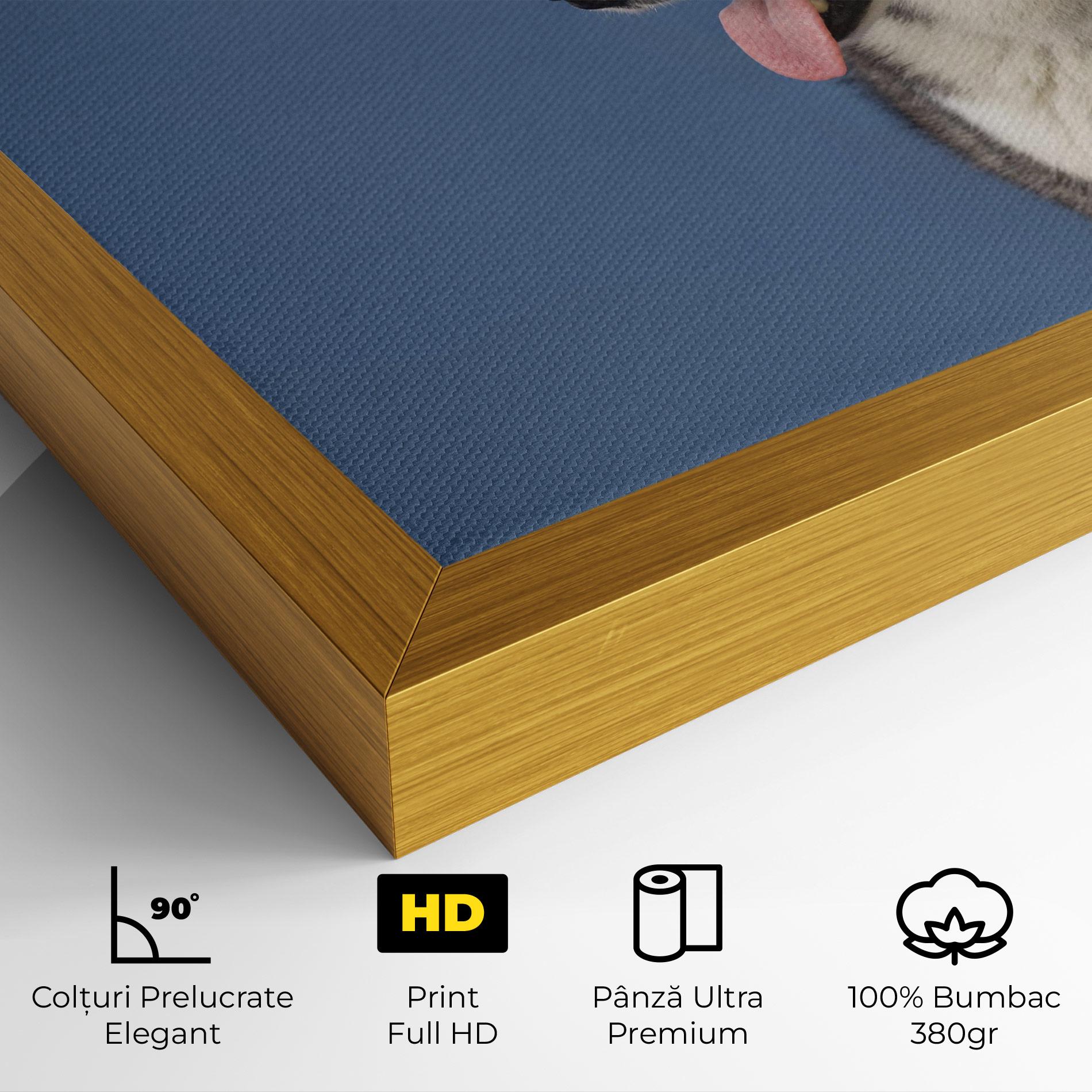Tablou Canvas Blue Glasses Dog mockup 4