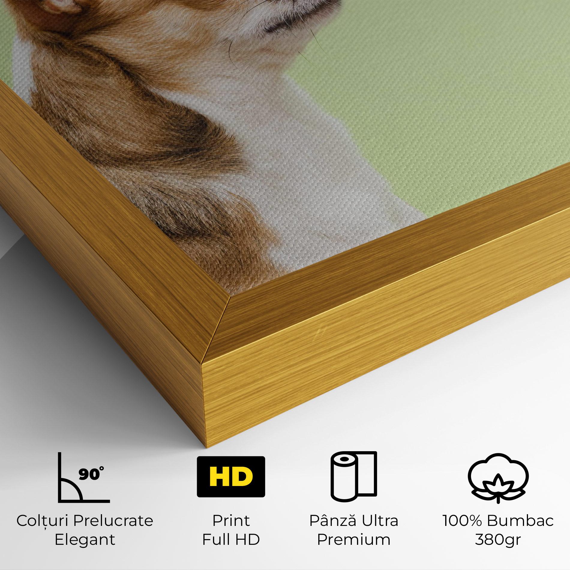 Tablou Canvas Chihuahua Dog mockup 4