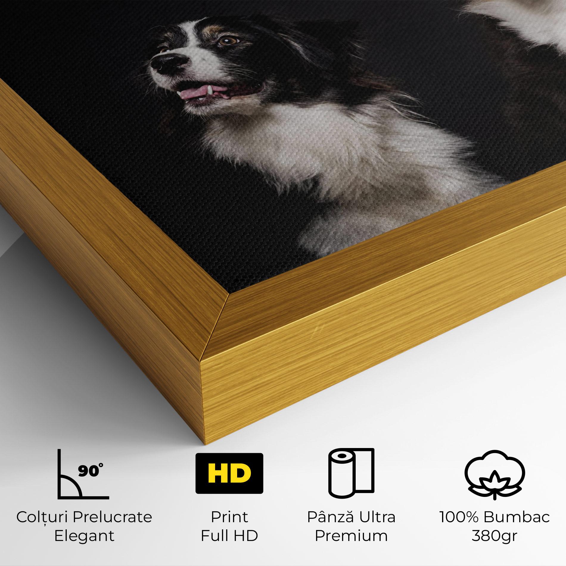 Tablou Canvas Cute Dogs Standing mockup 4