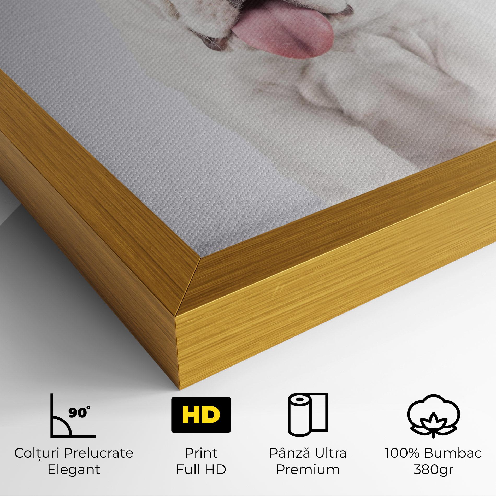 Tablou Canvas English Bulldog mockup 4
