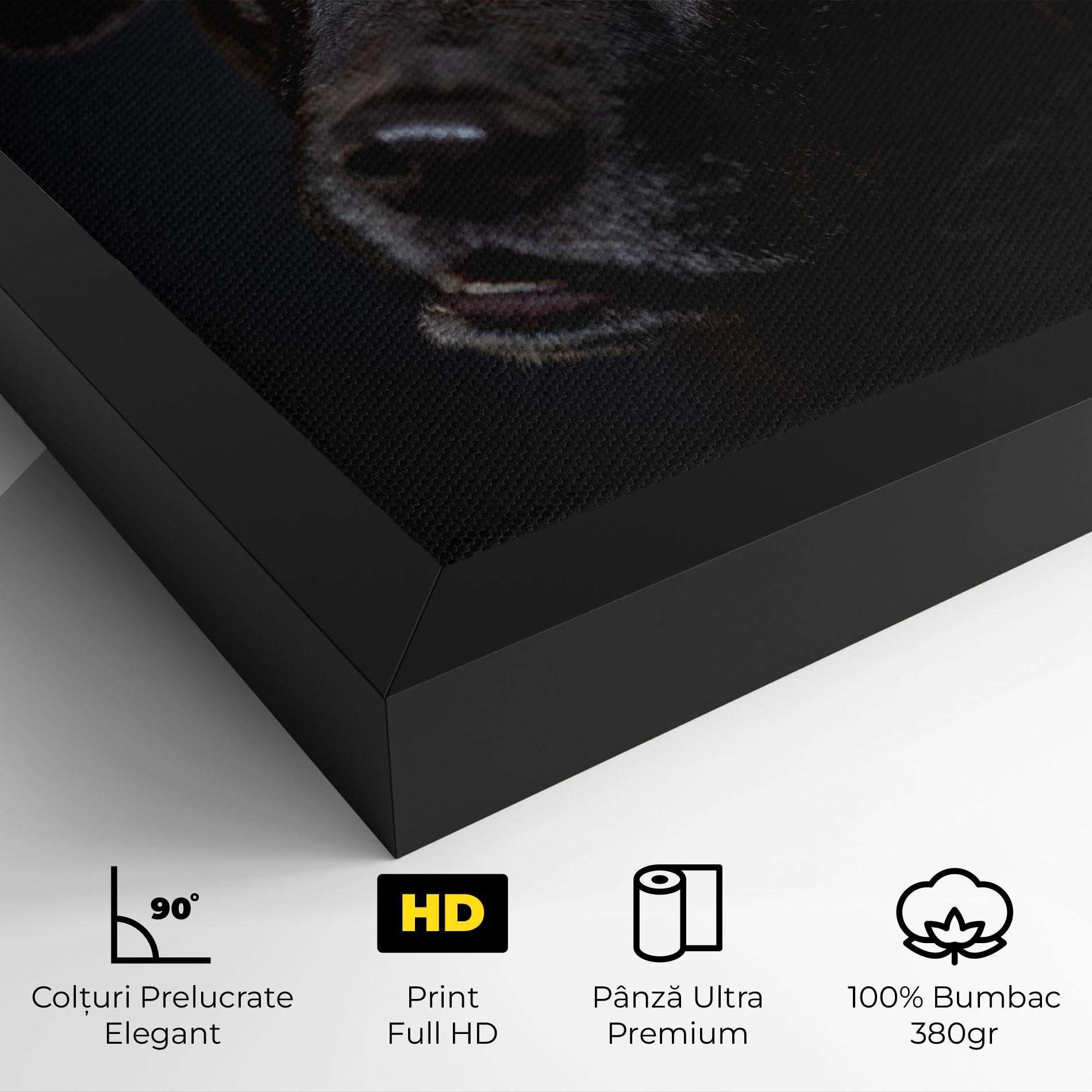 Tablou Canvas Black Dog Portrait mockup 4