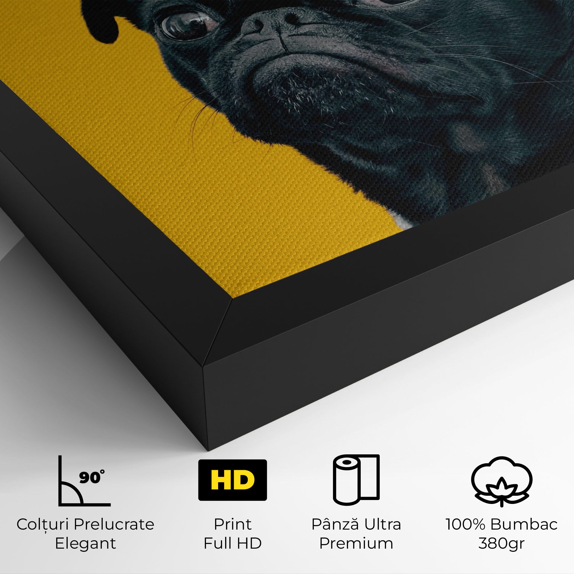 Black Pug mockup 4
