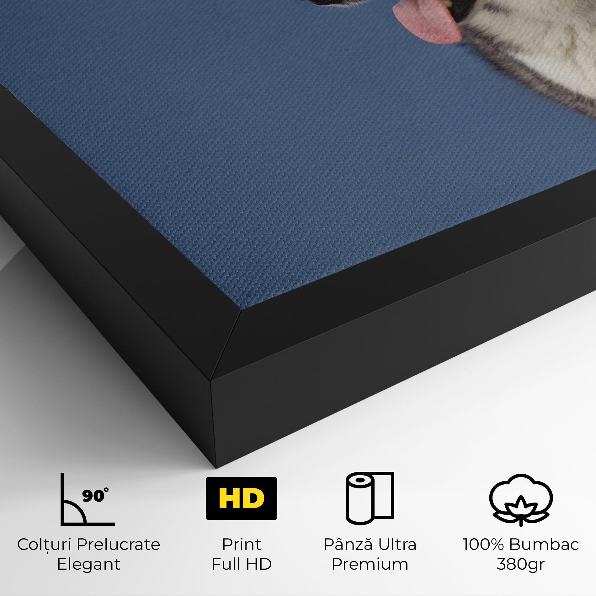 Tablou Canvas Blue Glasses Dog mockup 4