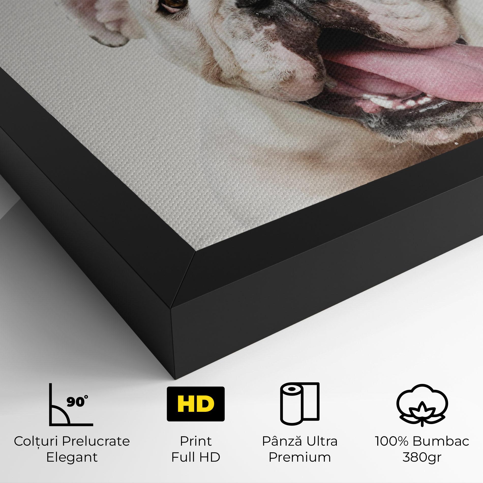 Tablou Canvas Bulldog Wearing Crown mockup 4