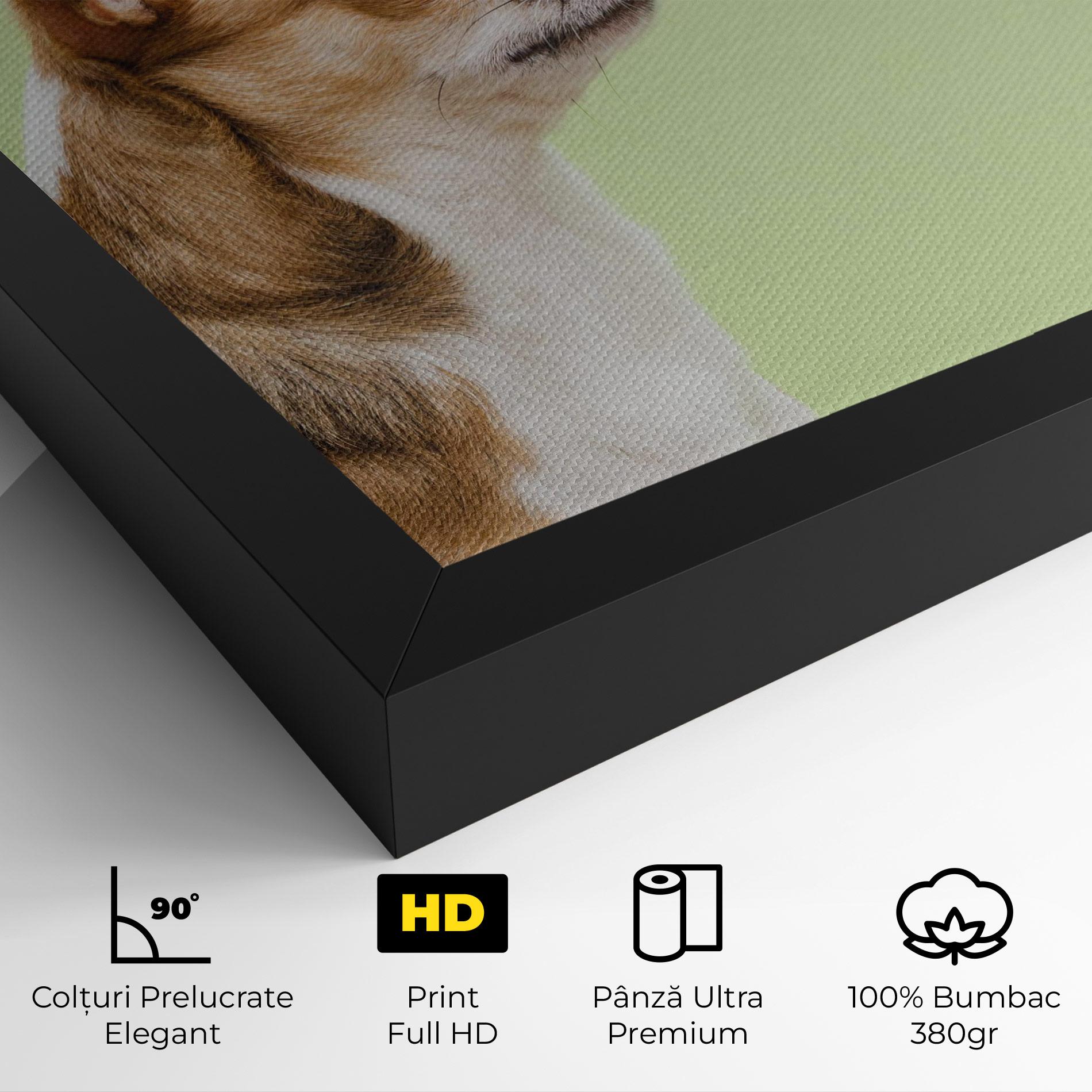 Tablou Canvas Chihuahua Dog mockup 4