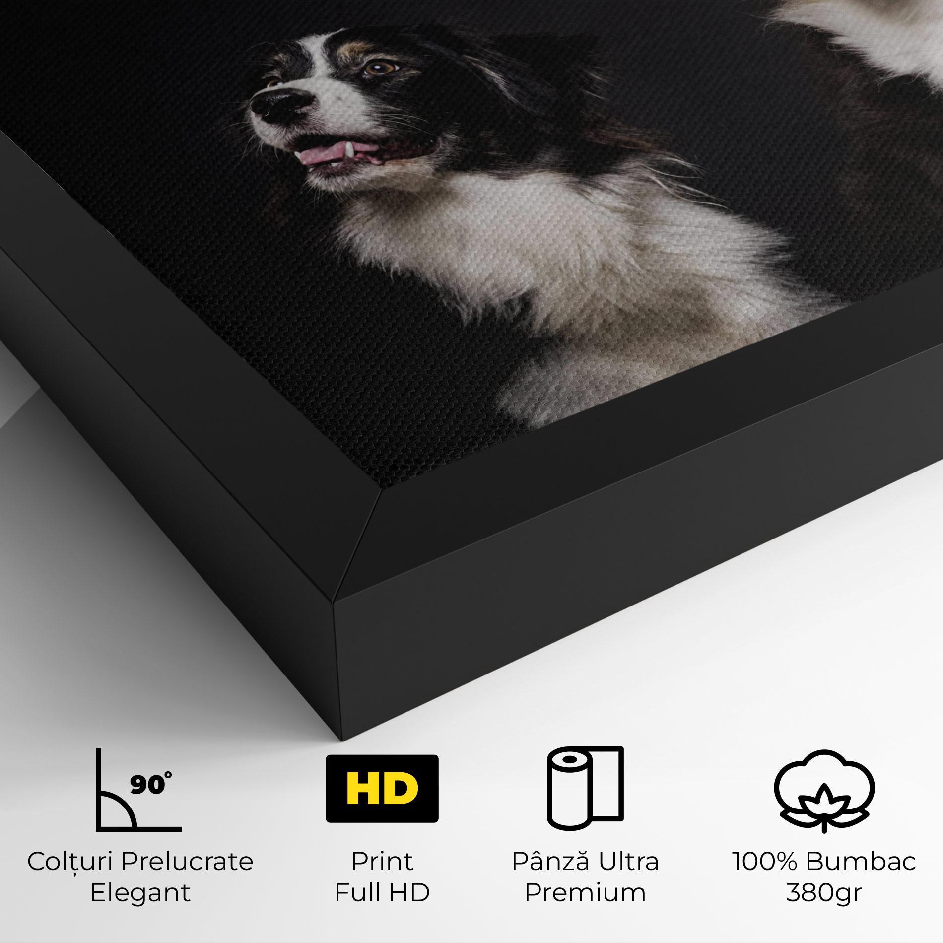 Tablou Canvas Cute Dogs Standing mockup 4