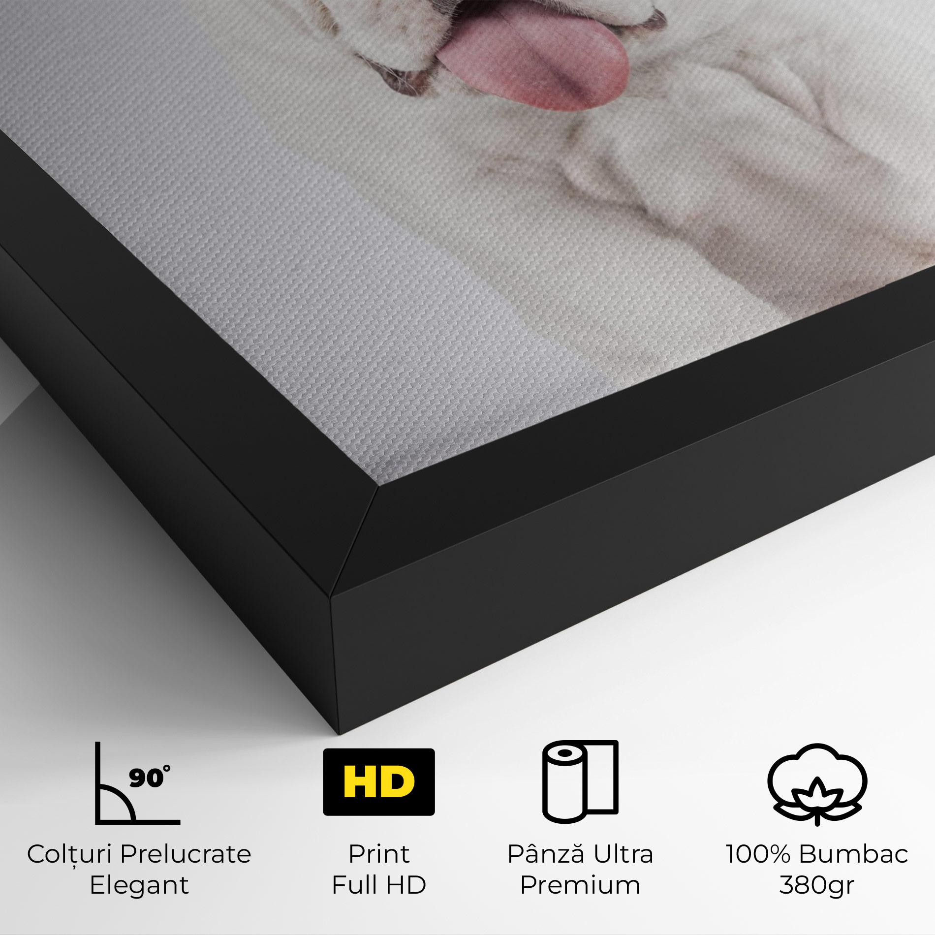 Tablou Canvas English Bulldog mockup 4