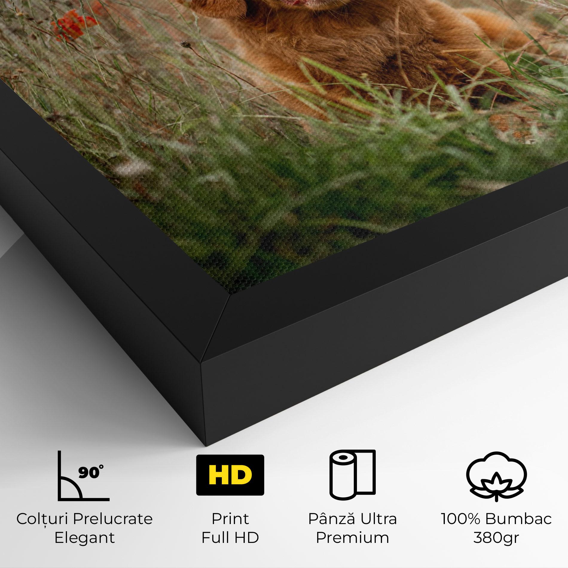 Tablou Canvas Red Flowers Dog mockup 4