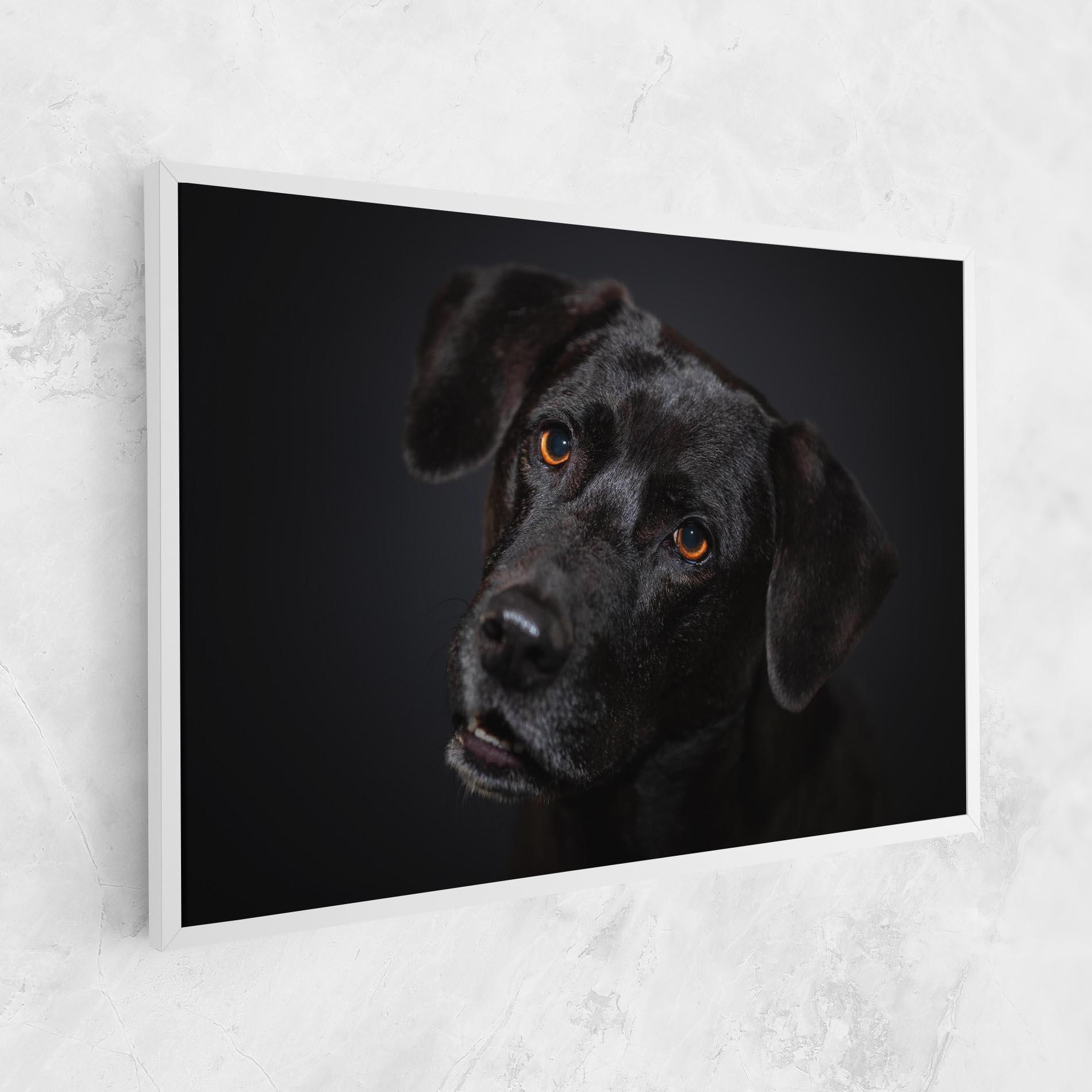 Tablou Canvas Black Dog Portrait mockup 1
