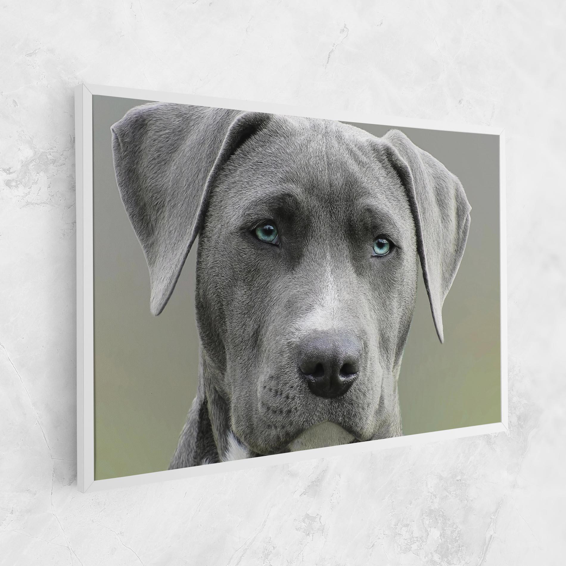 Tablou Canvas Blue Eyes Dog mockup 1