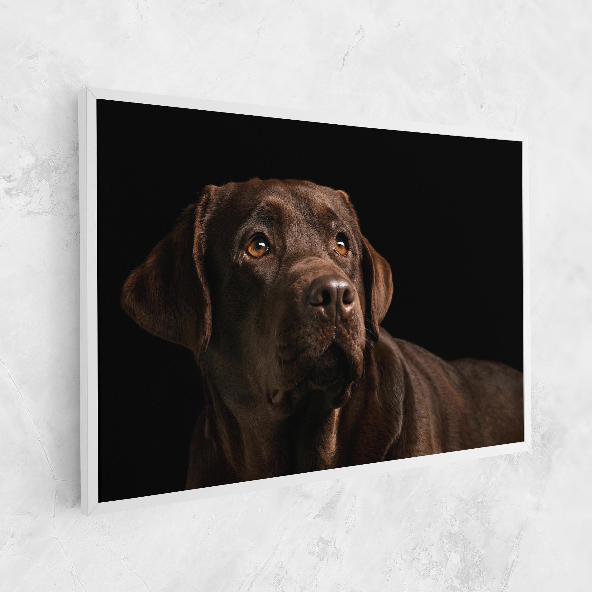 Tablou Canvas Brown Labrador mockup 1