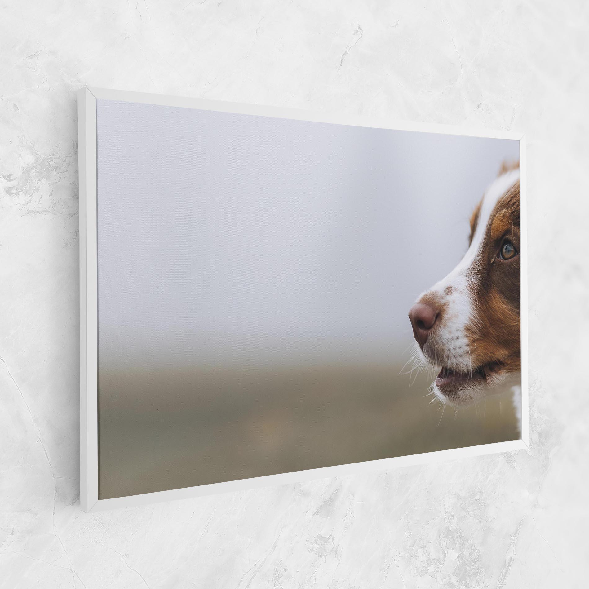 Tablou Canvas Brown White Dog mockup 1