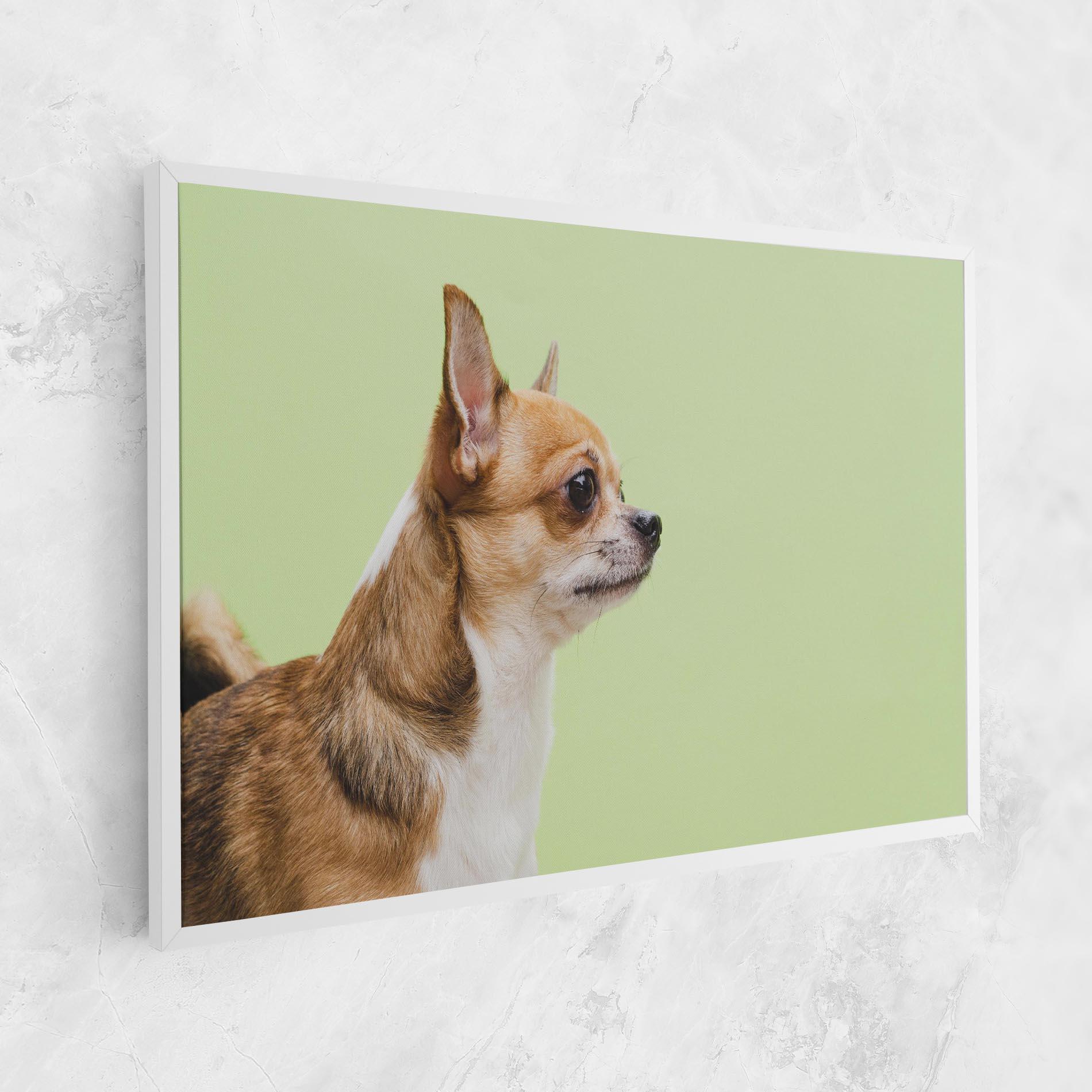 Tablou Canvas Chihuahua Dog mockup 1