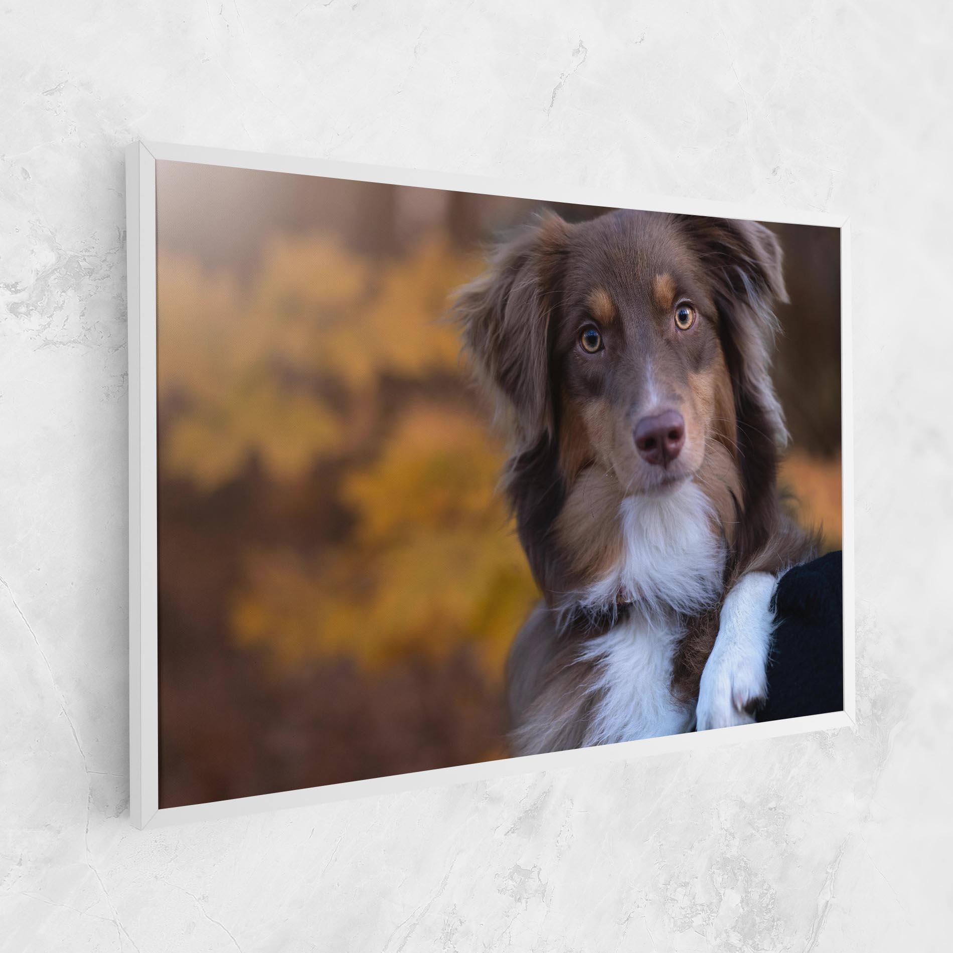 Tablou Canvas Coffee Brown Dog mockup 1