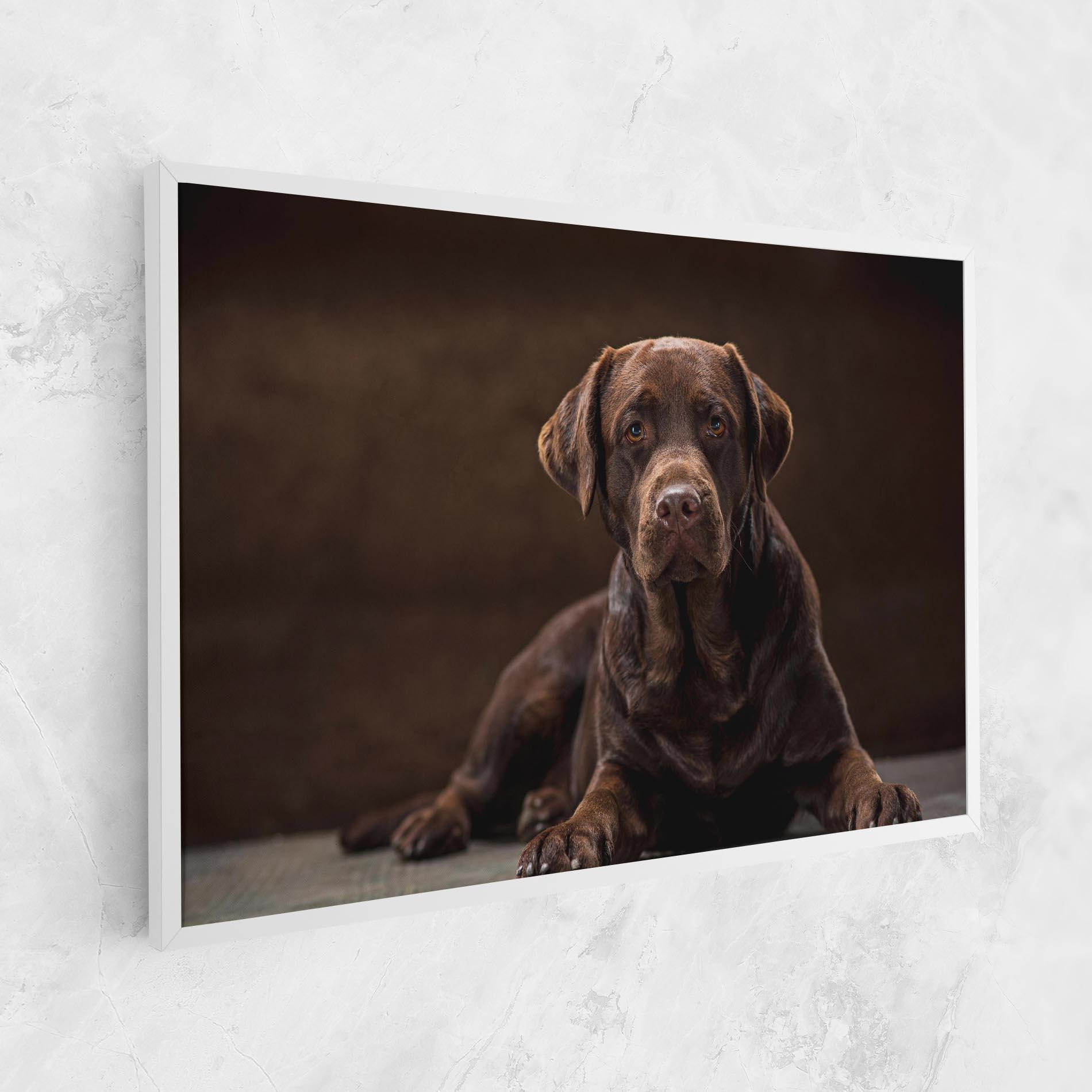 Tablou Canvas Cute Brown Labrador mockup 1