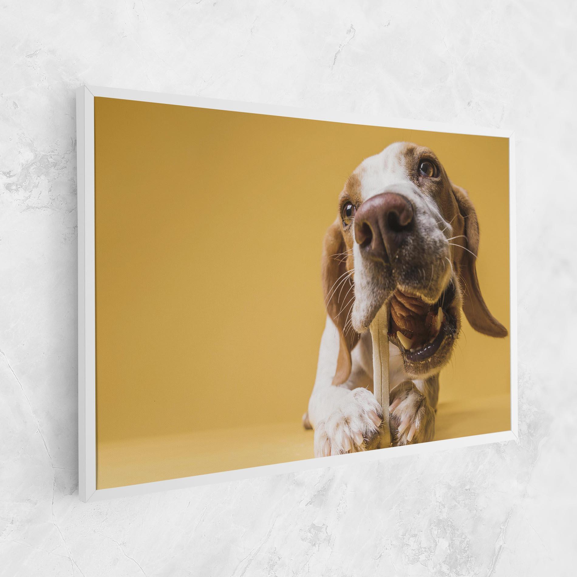 Tablou Canvas Dog Eating Bone mockup 1