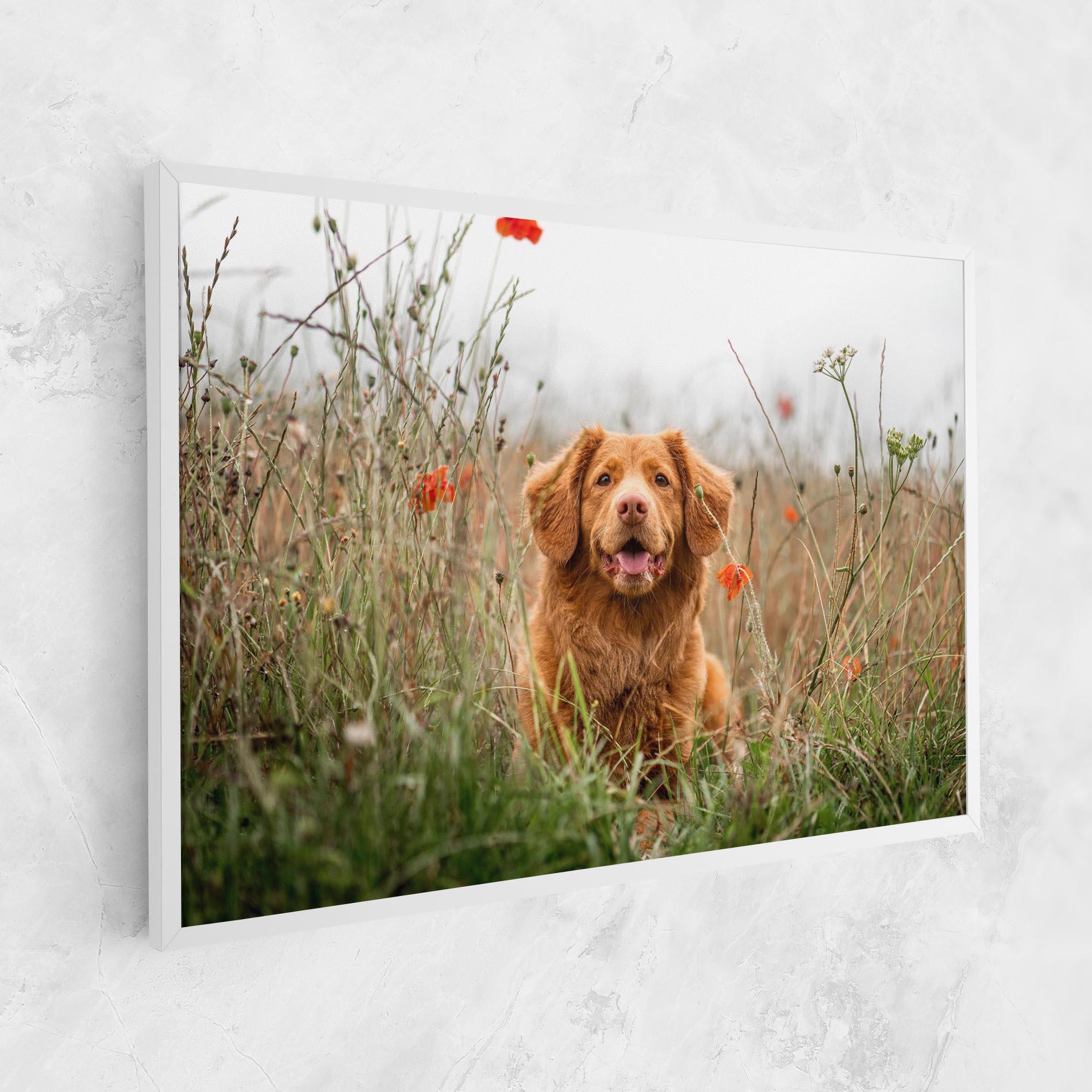 Tablou Canvas Red Flowers Dog mockup 1