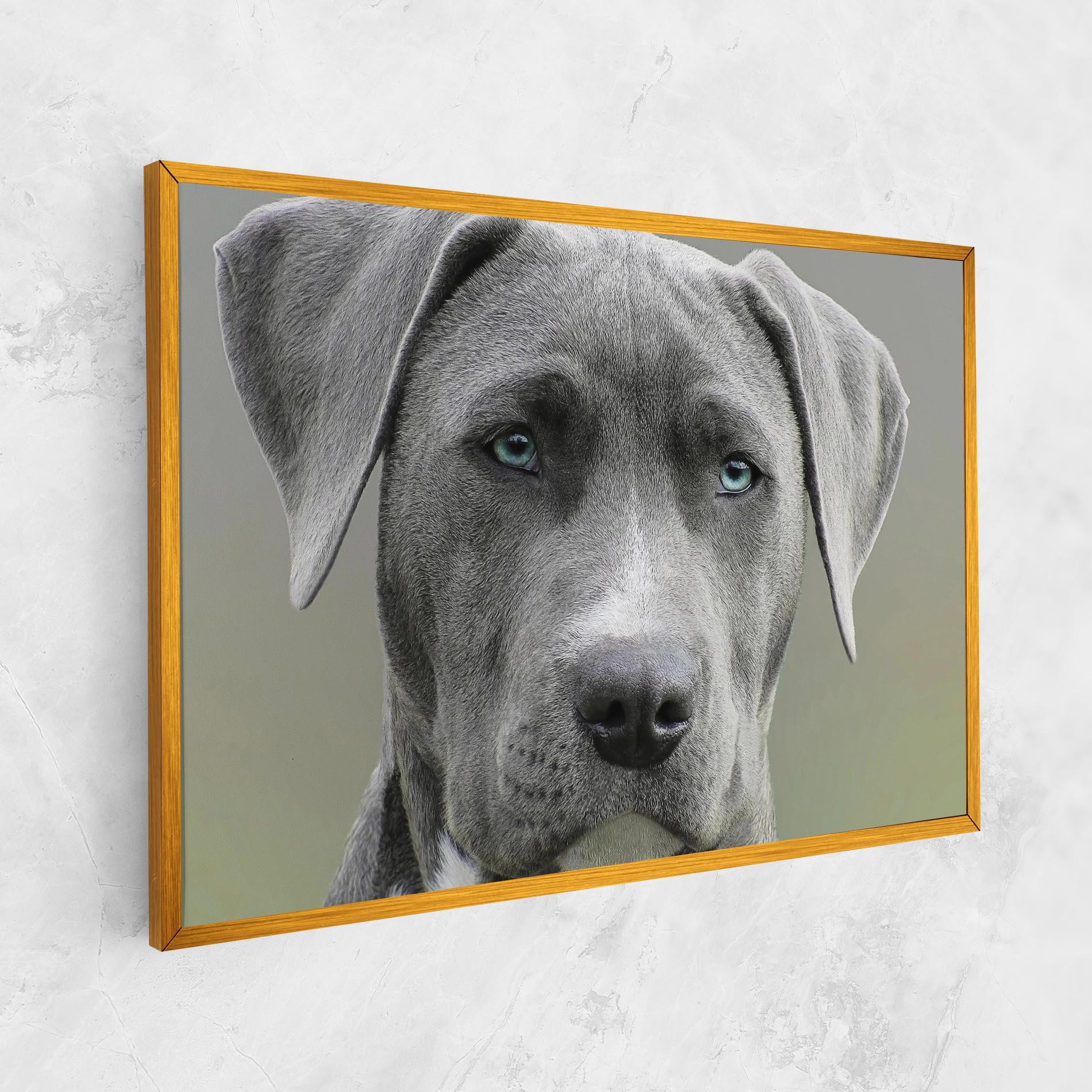 Tablou Canvas Blue Eyes Dog mockup 1
