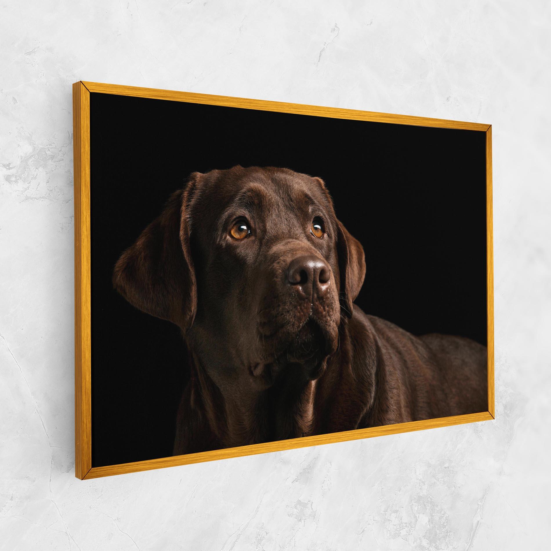 Tablou Canvas Brown Labrador mockup 1