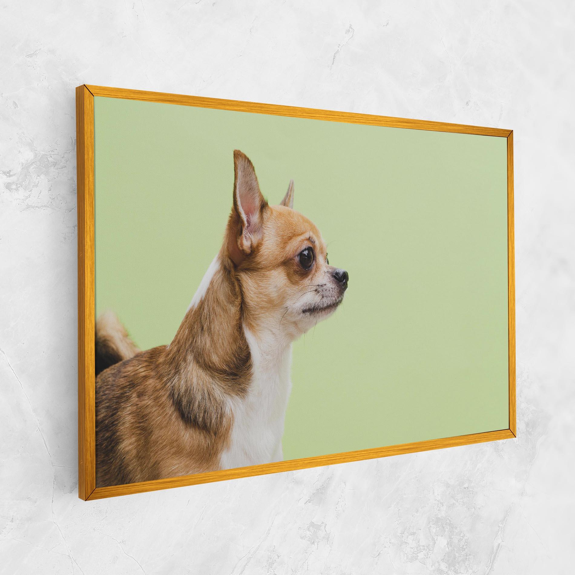 Tablou Canvas Chihuahua Dog mockup 1