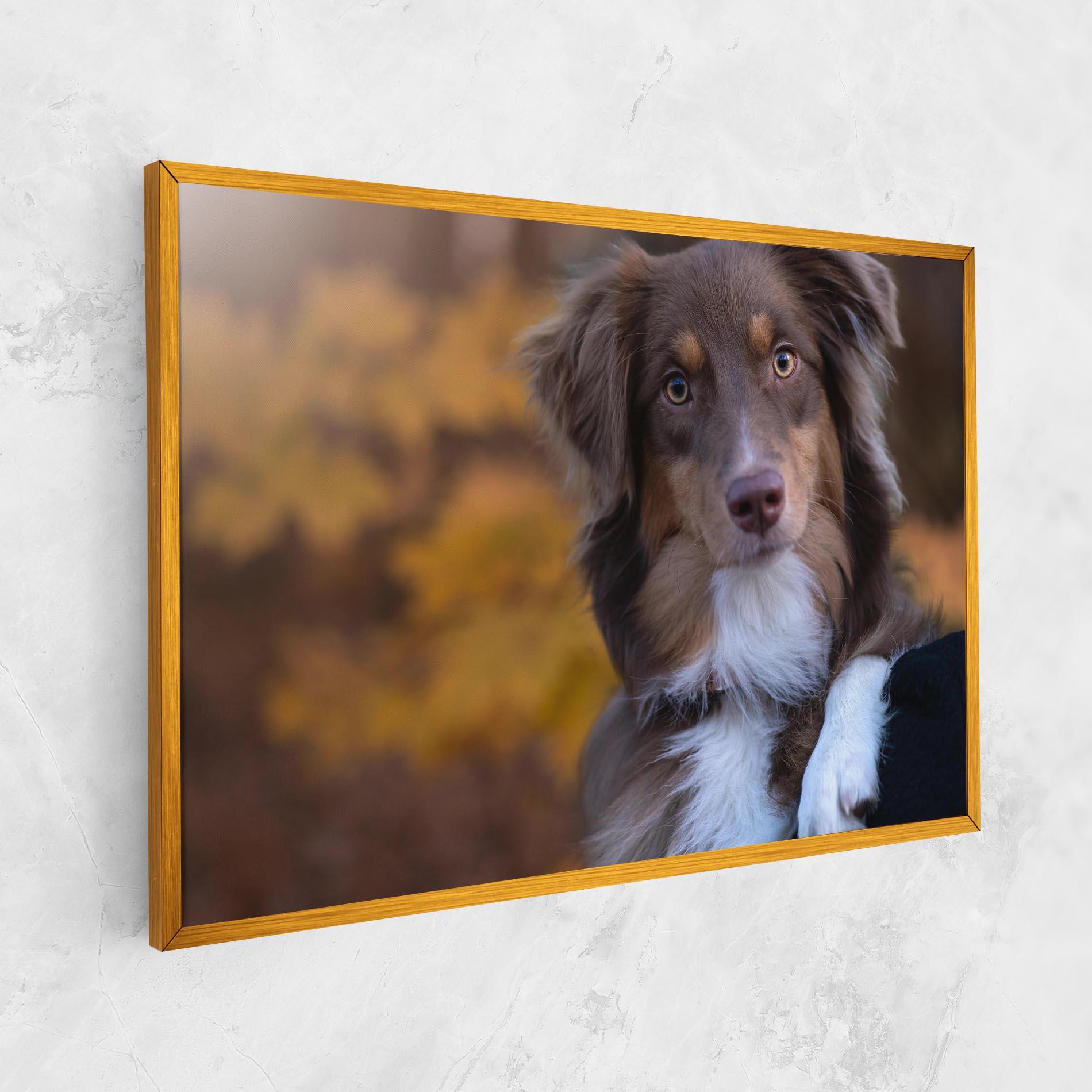 Tablou Canvas Coffee Brown Dog mockup 1