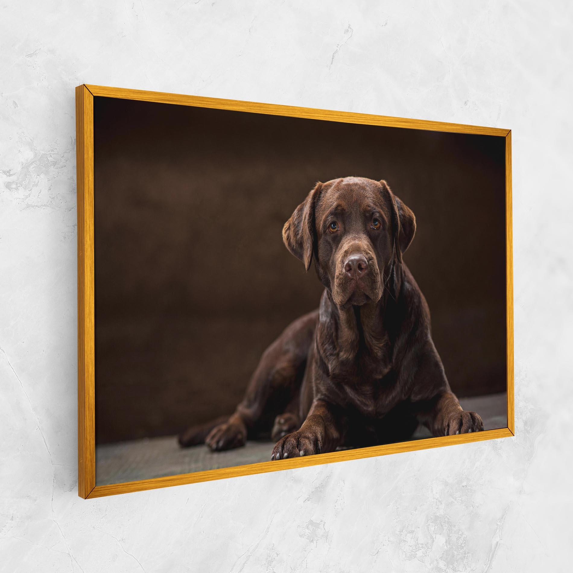 Tablou Canvas Cute Brown Labrador mockup 1