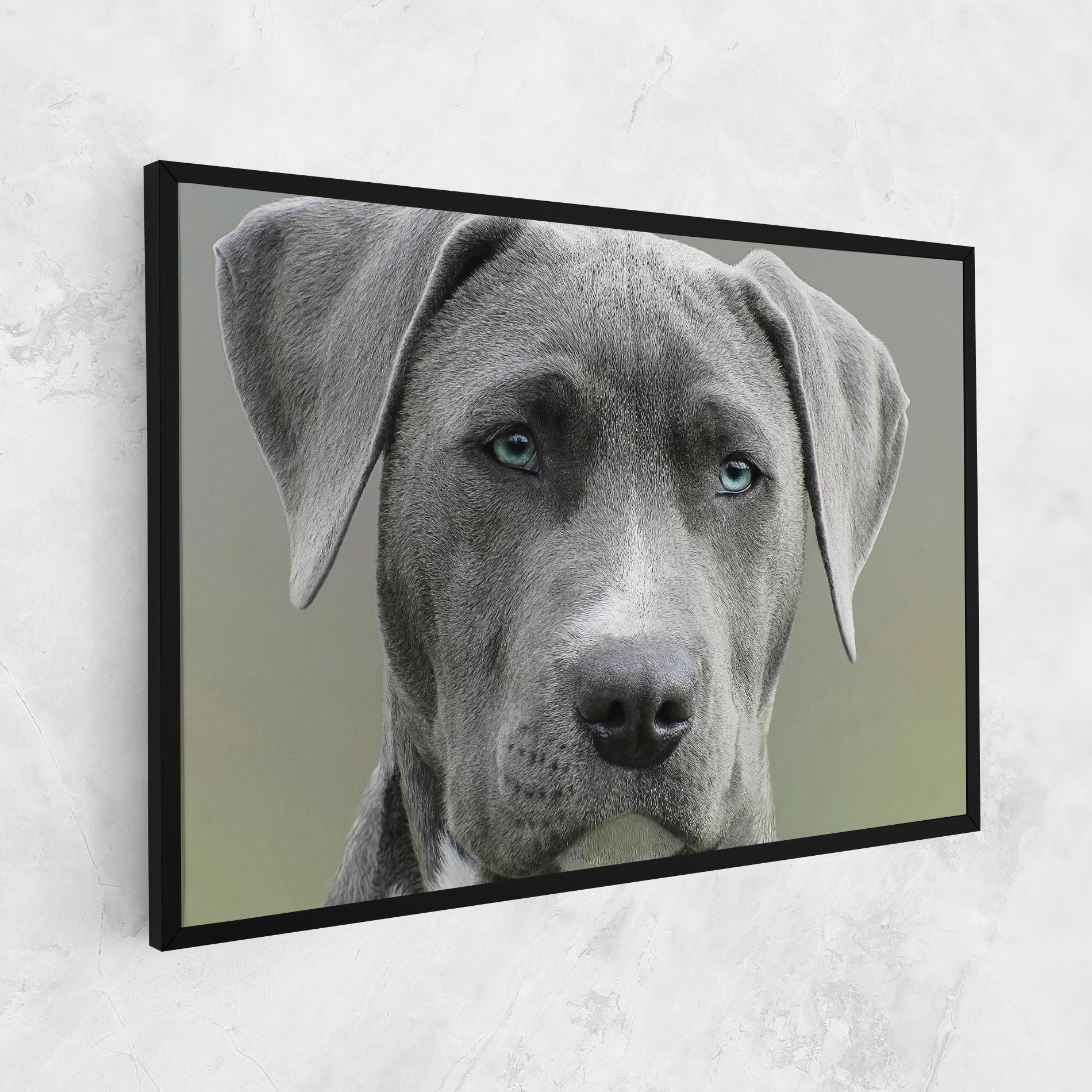 Tablou Canvas Blue Eyes Dog mockup 1