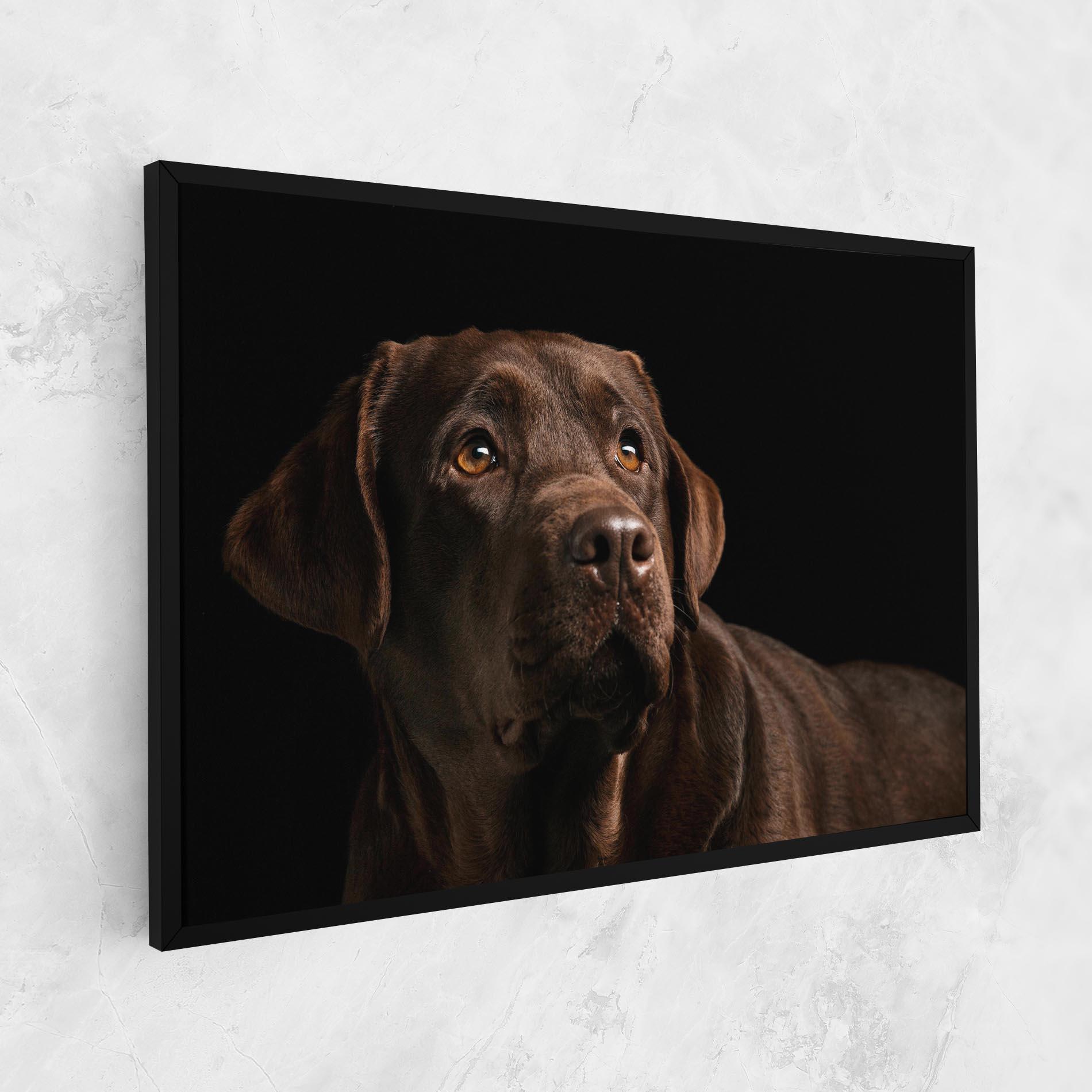 Tablou Canvas Brown Labrador mockup 1
