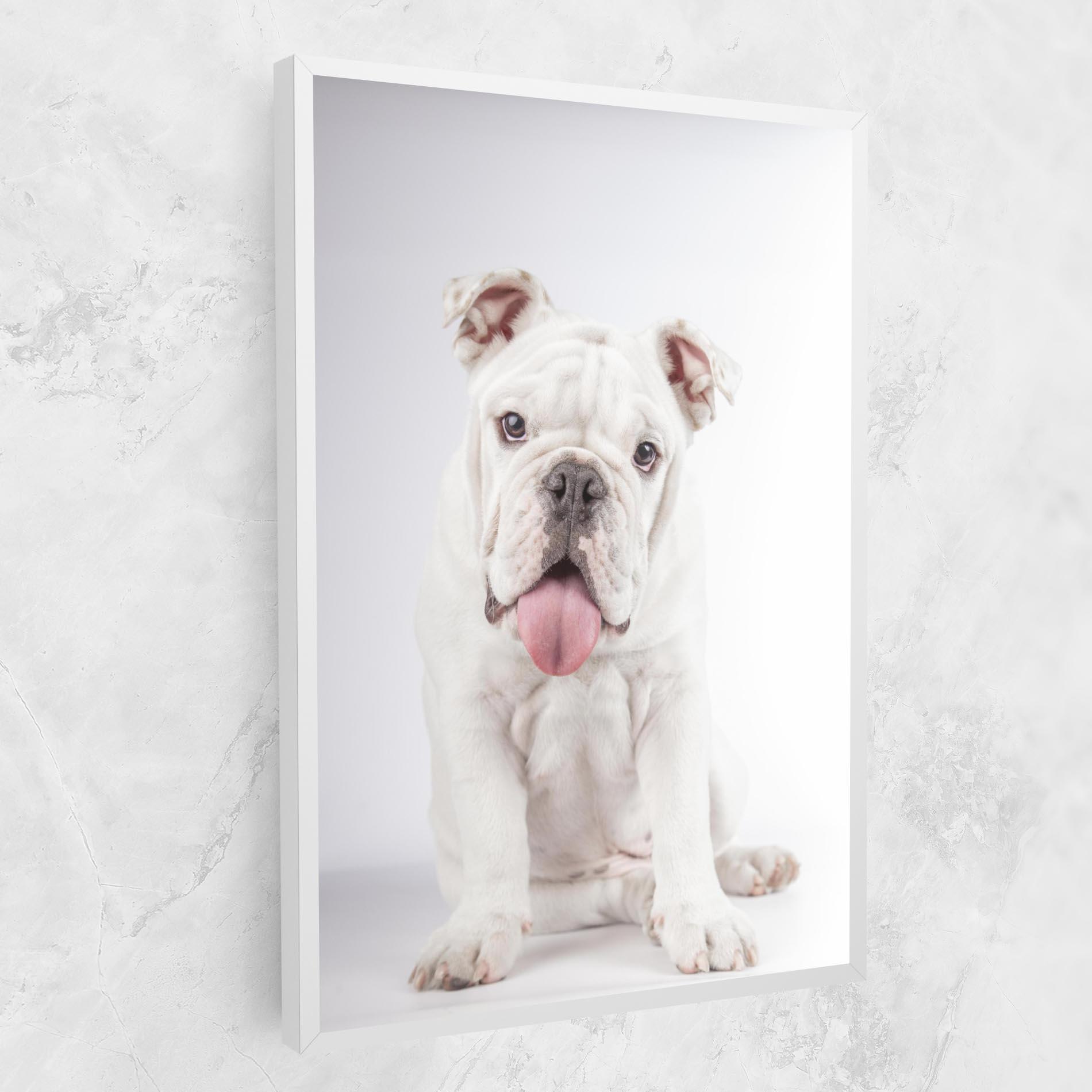 Tablou Canvas English Bulldog mockup 1