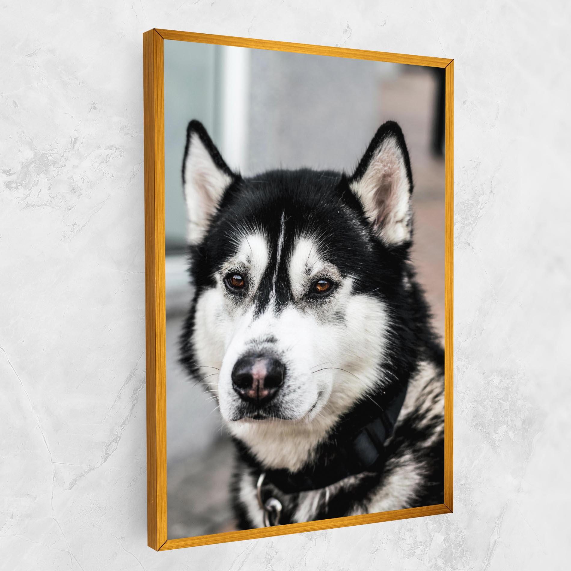 Tablou Canvas Husky Dog mockup 1