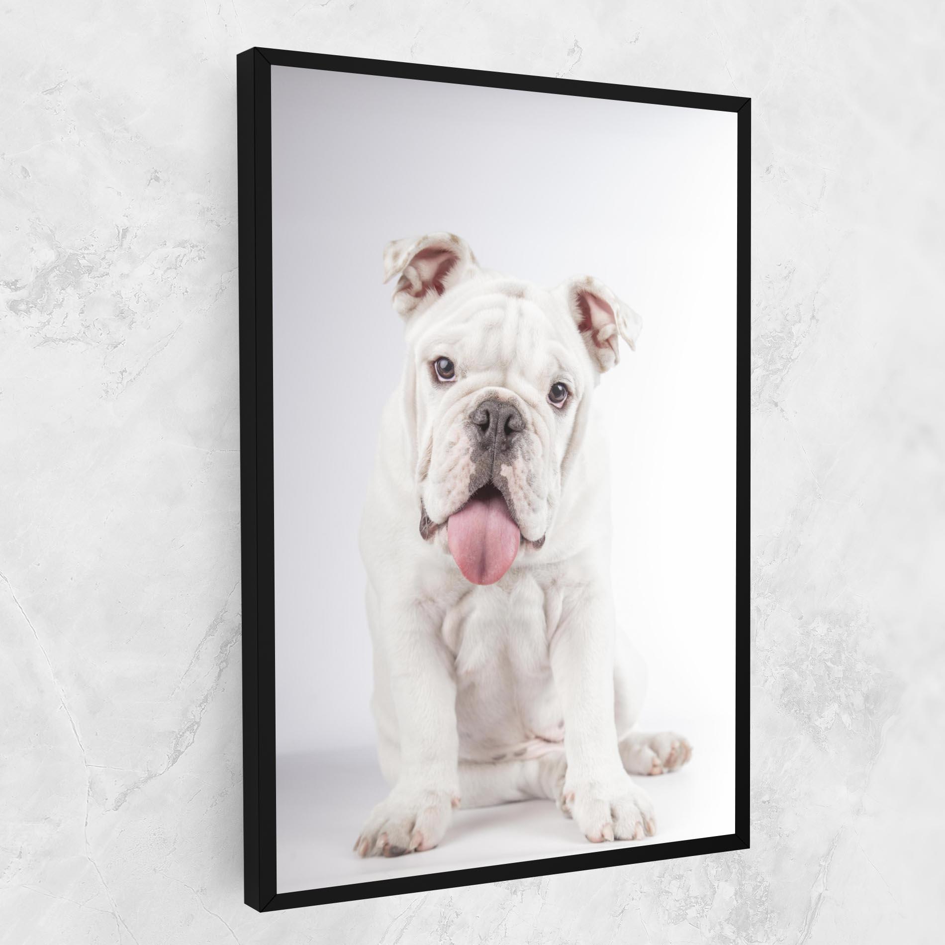 Tablou Canvas English Bulldog mockup 1