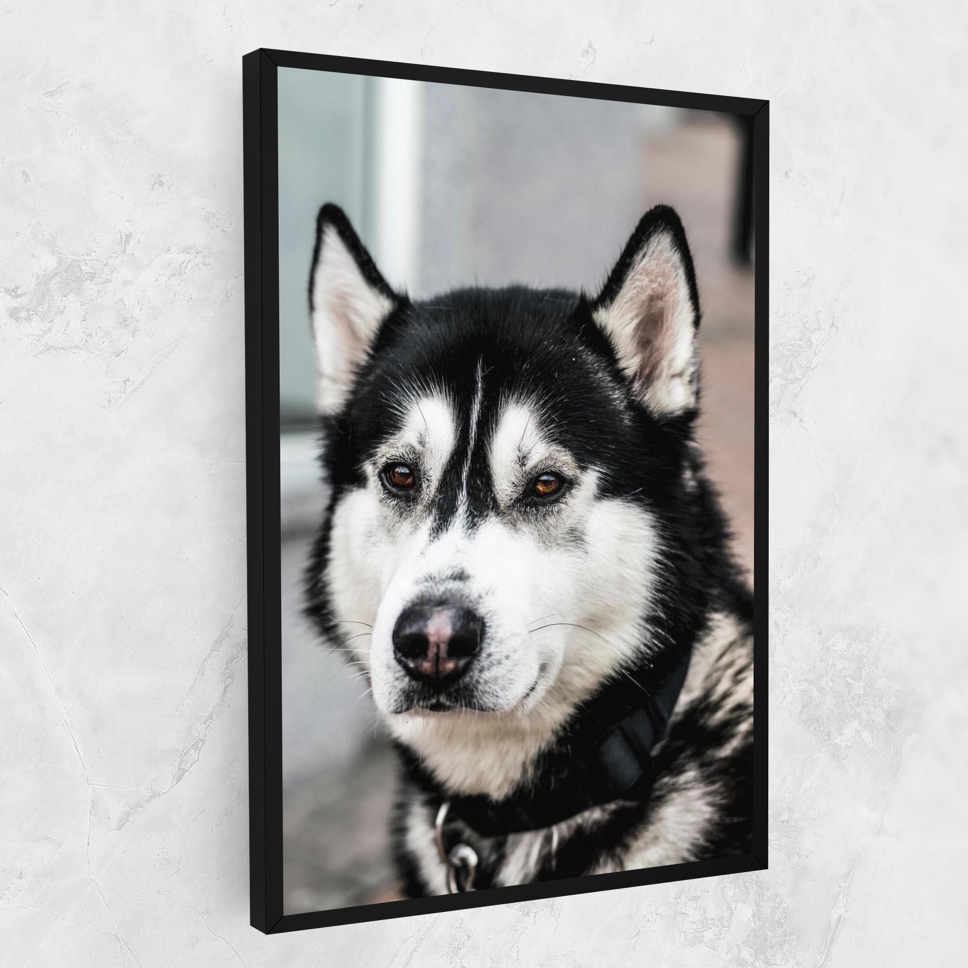 Tablou Canvas Husky Dog mockup 1