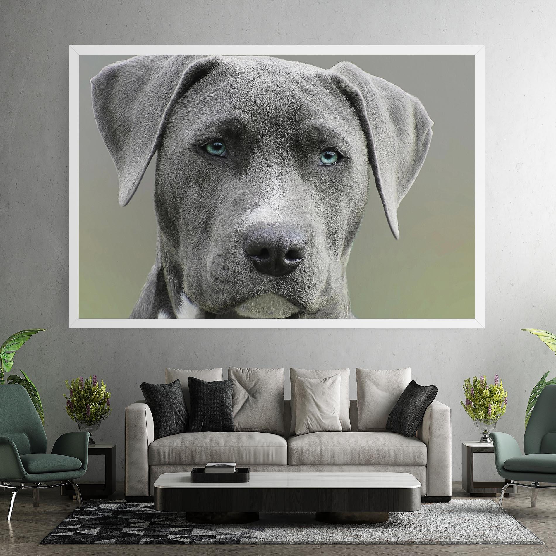 Tablou Canvas Blue Eyes Dog mockup 7