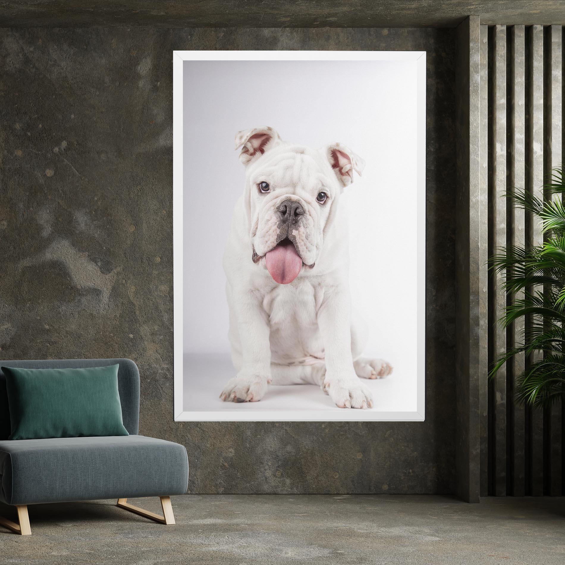 Tablou Canvas English Bulldog mockup 7