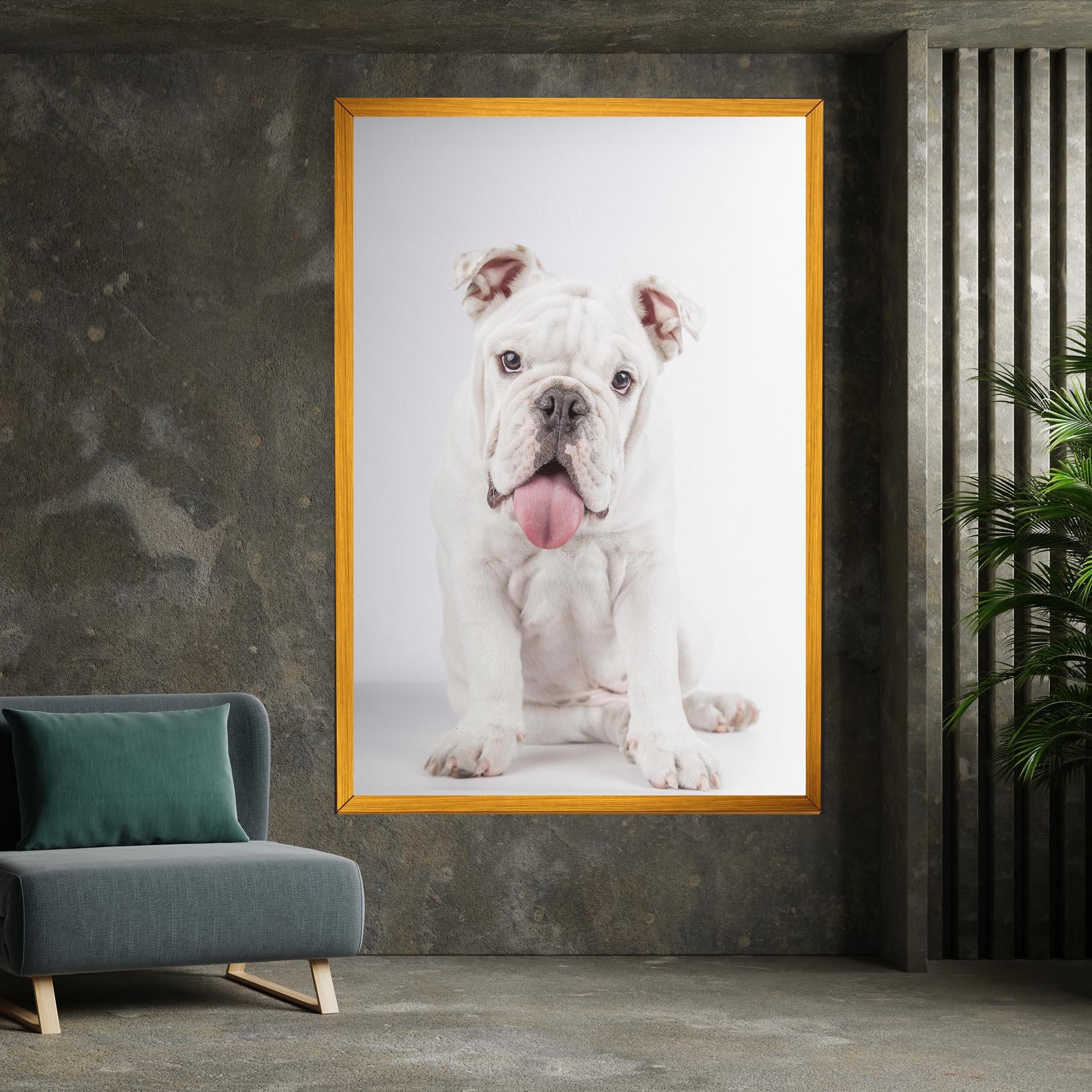 Tablou Canvas English Bulldog mockup 7