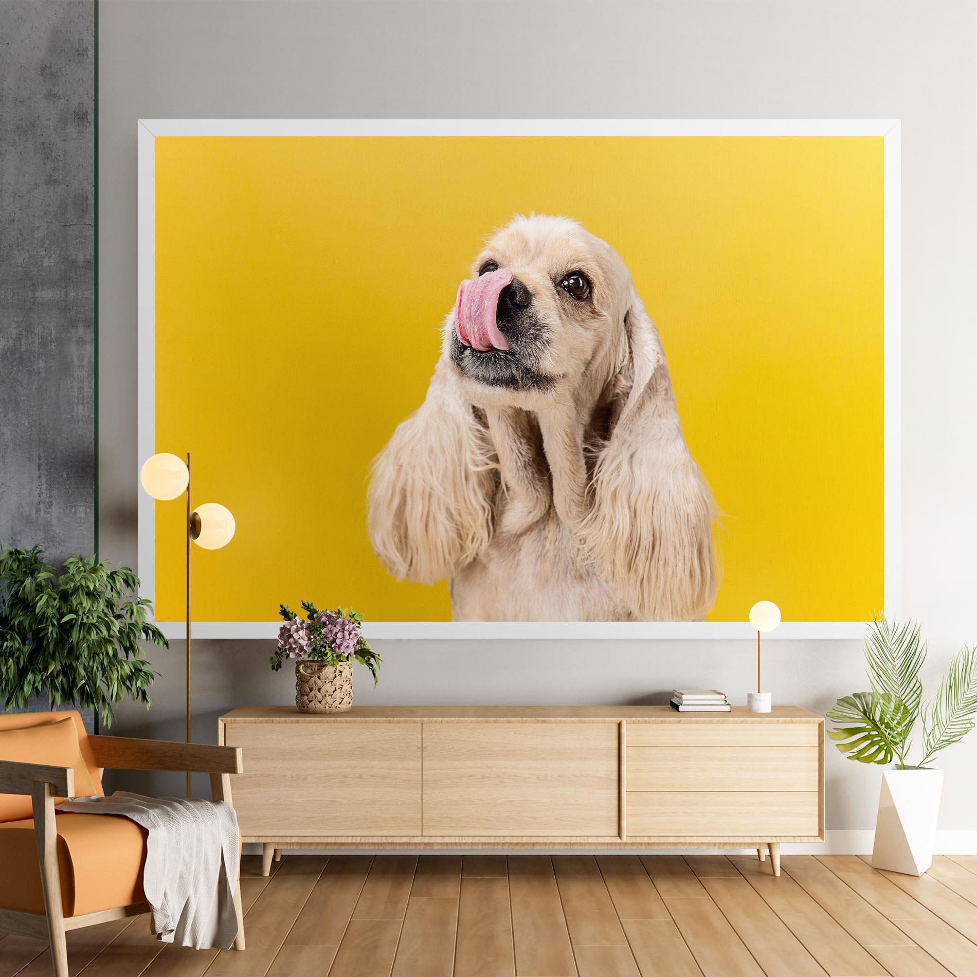 Tablou Canvas American Spaniel mockup 9