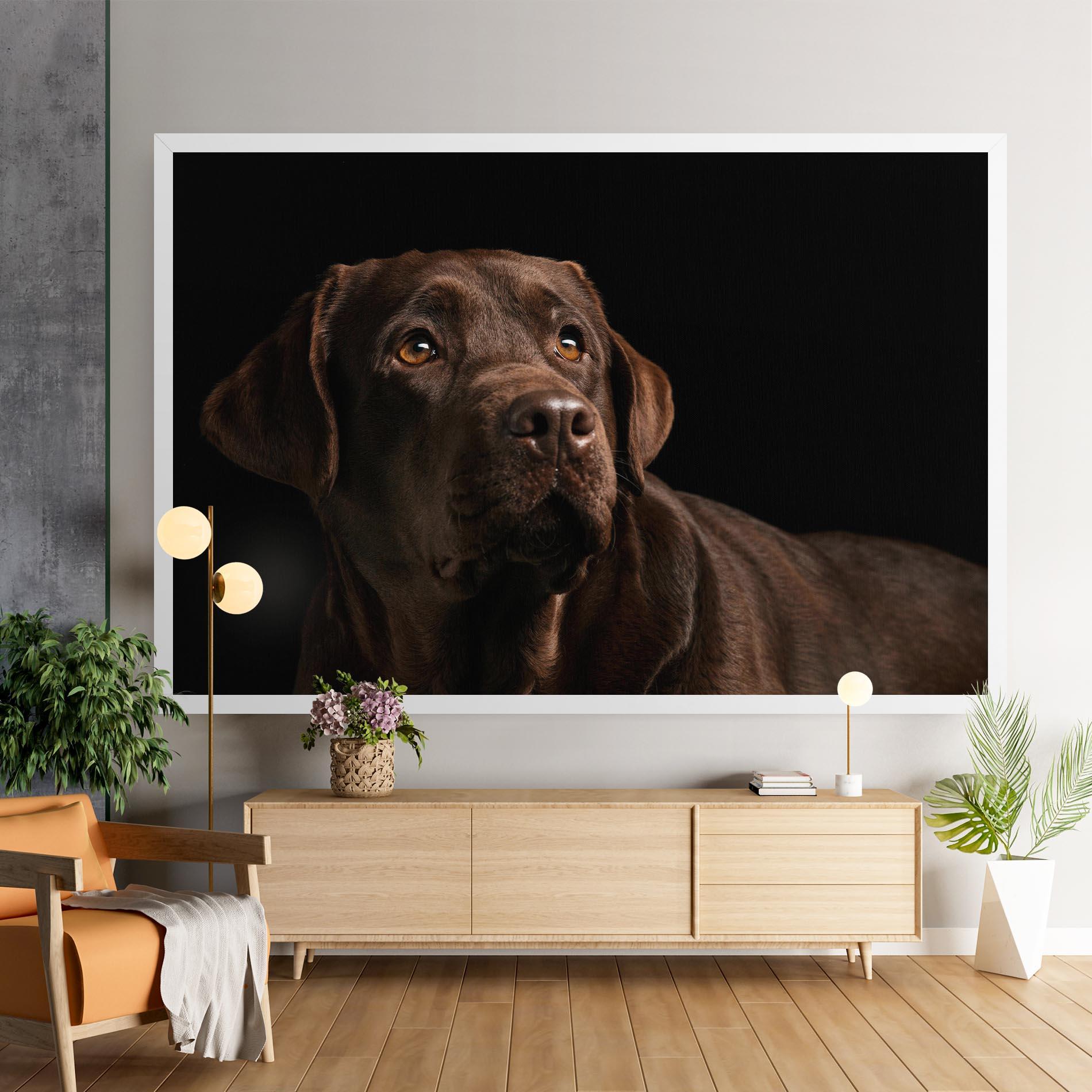 Tablou Canvas Brown Labrador mockup 9
