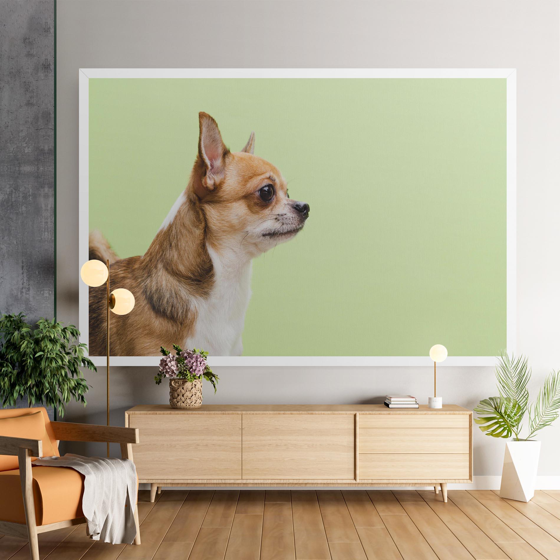 Tablou Canvas Chihuahua Dog mockup 9