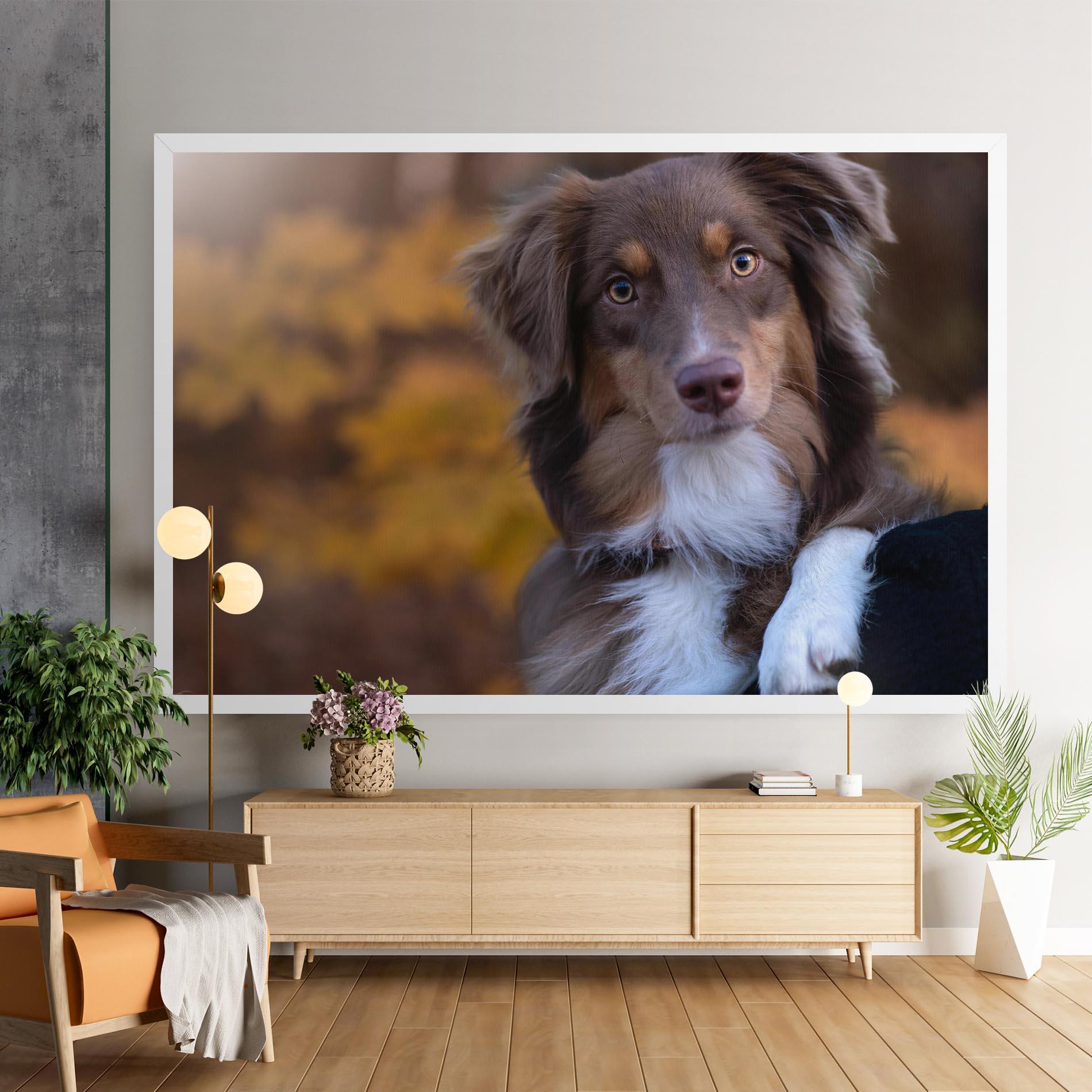 Tablou Canvas Coffee Brown Dog mockup 9