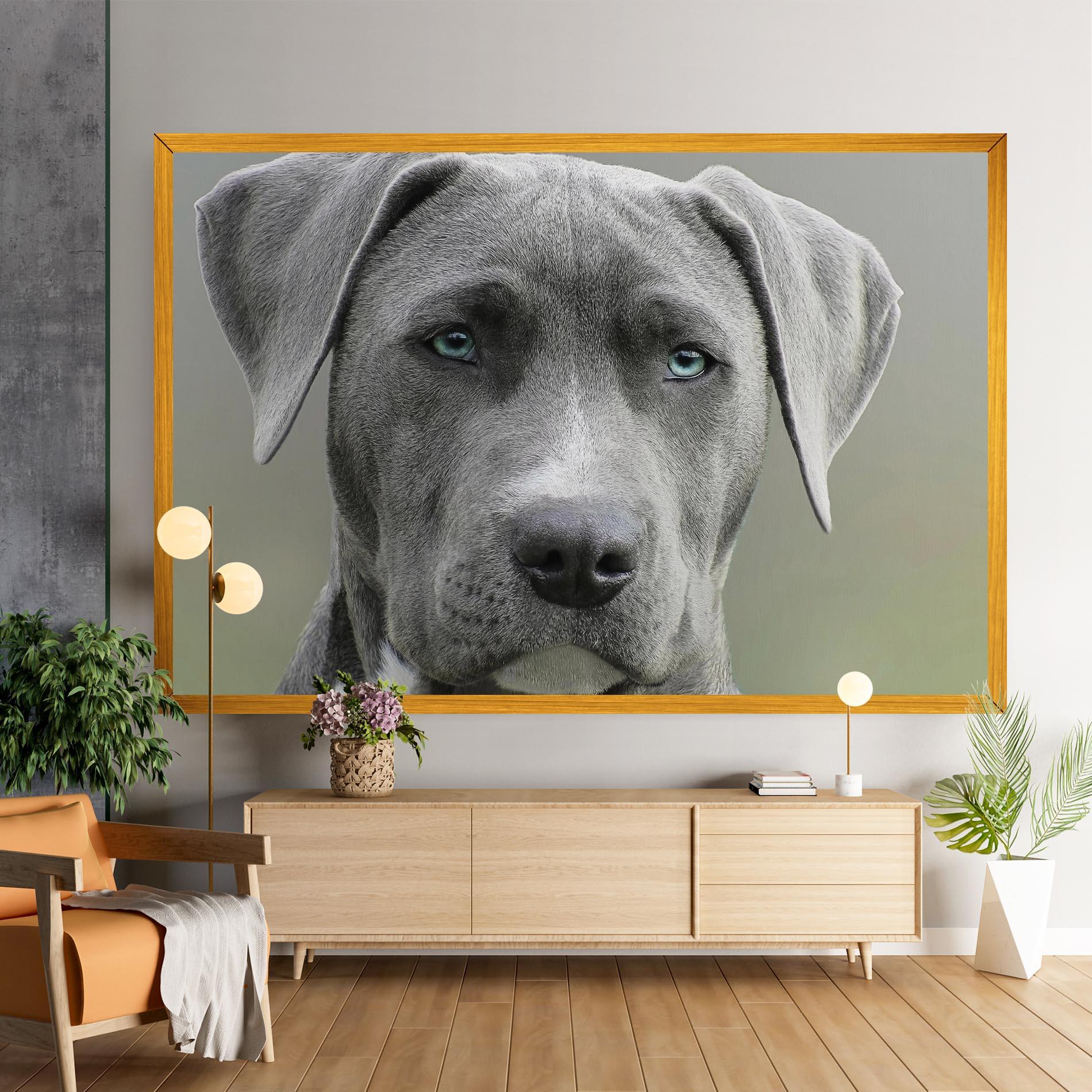 Tablou Canvas Blue Eyes Dog mockup 9