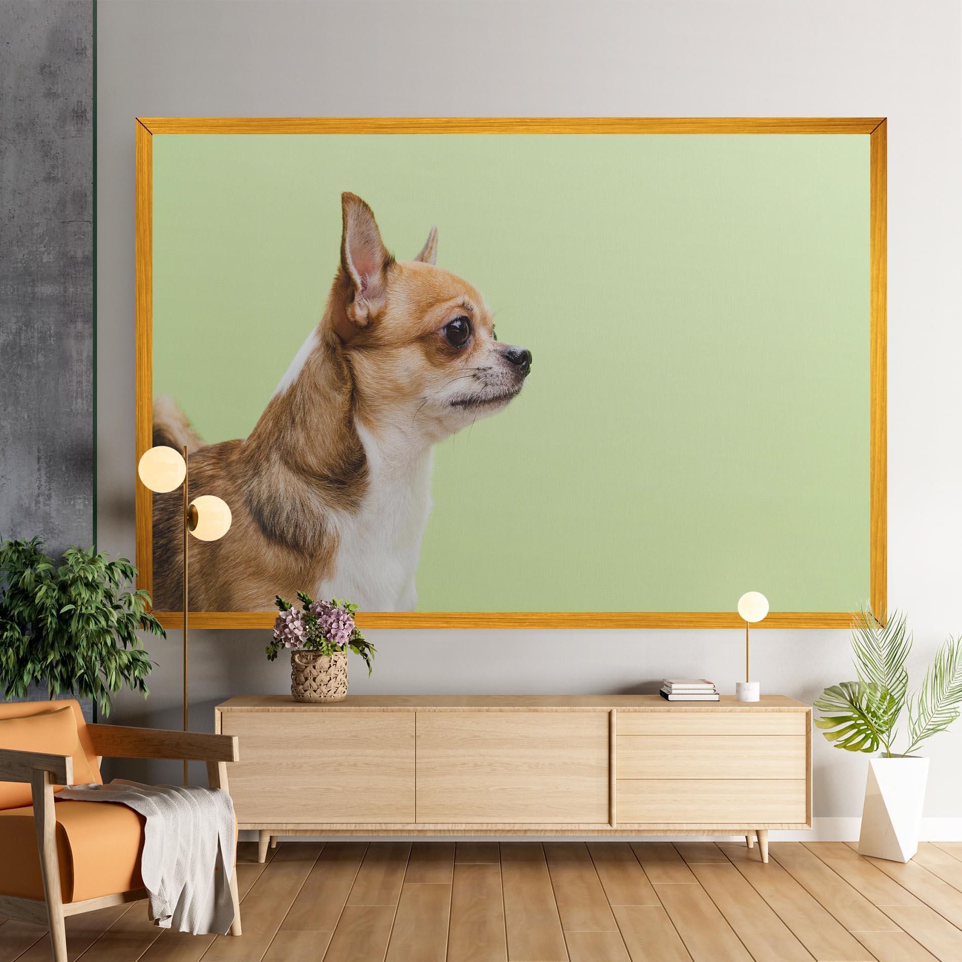 Tablou Canvas Chihuahua Dog mockup 9