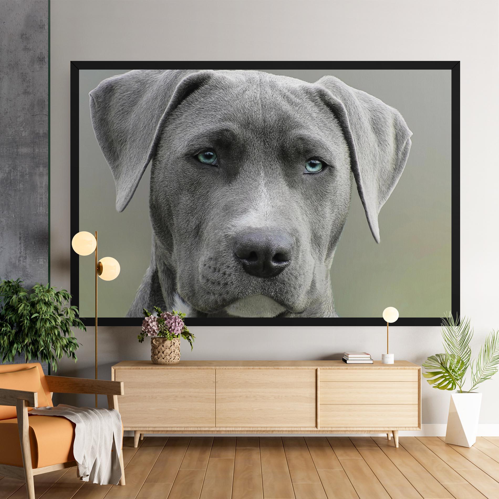 Tablou Canvas Blue Eyes Dog mockup 9