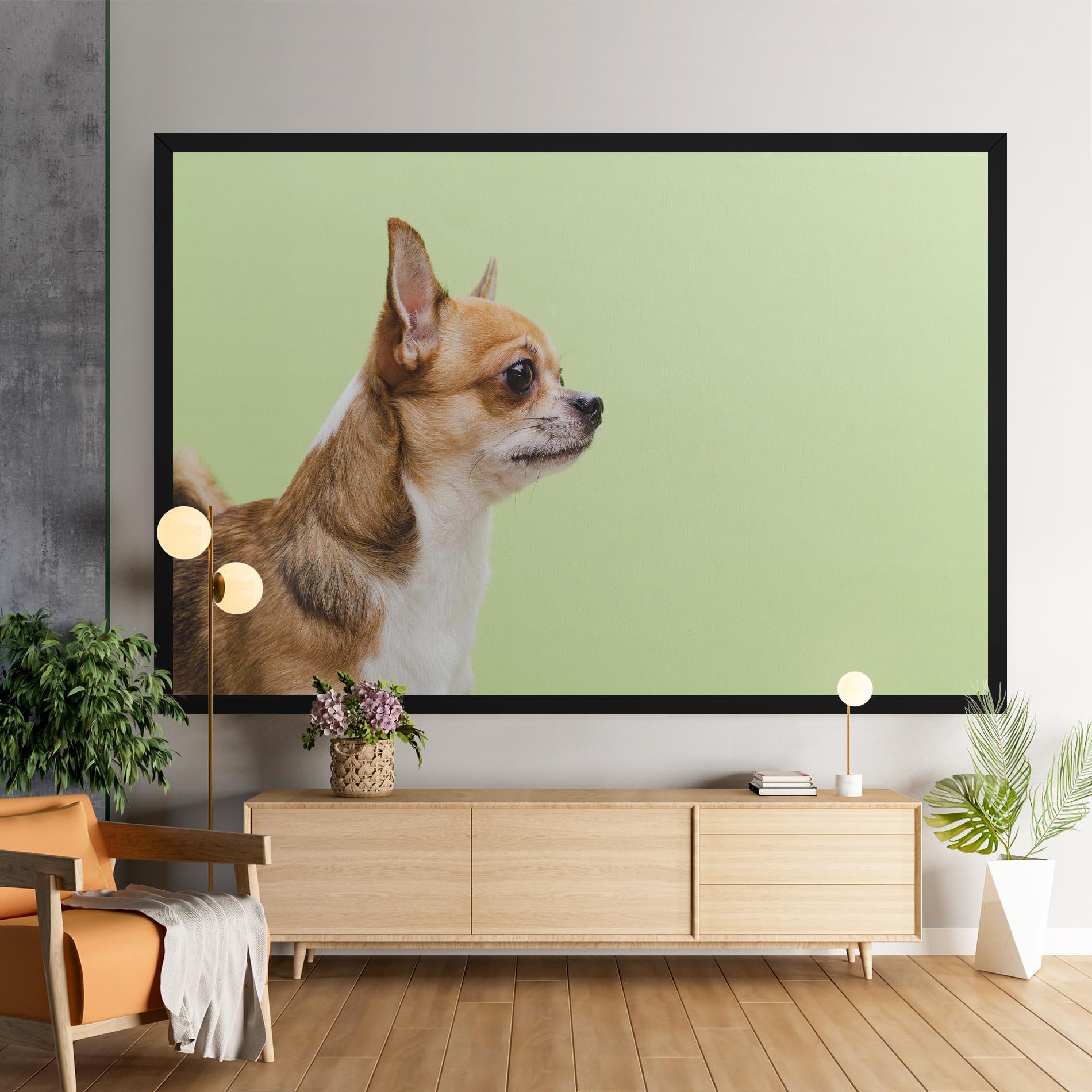 Tablou Canvas Chihuahua Dog mockup 9