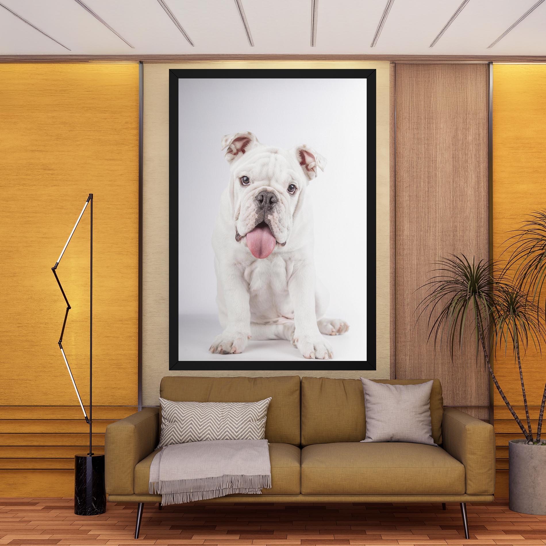 Tablou Canvas English Bulldog mockup 9