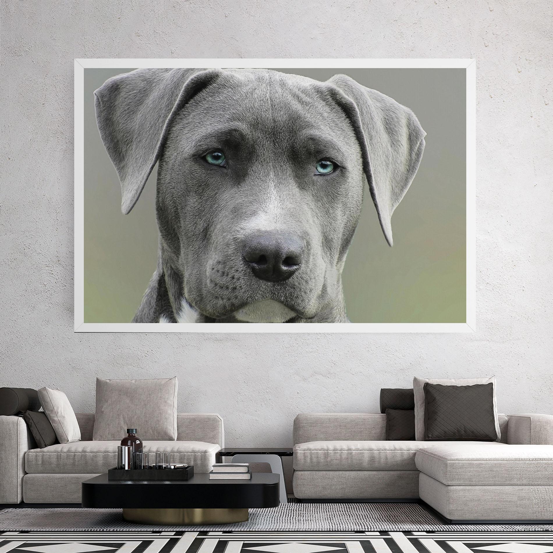 Tablou Canvas Blue Eyes Dog mockup 2