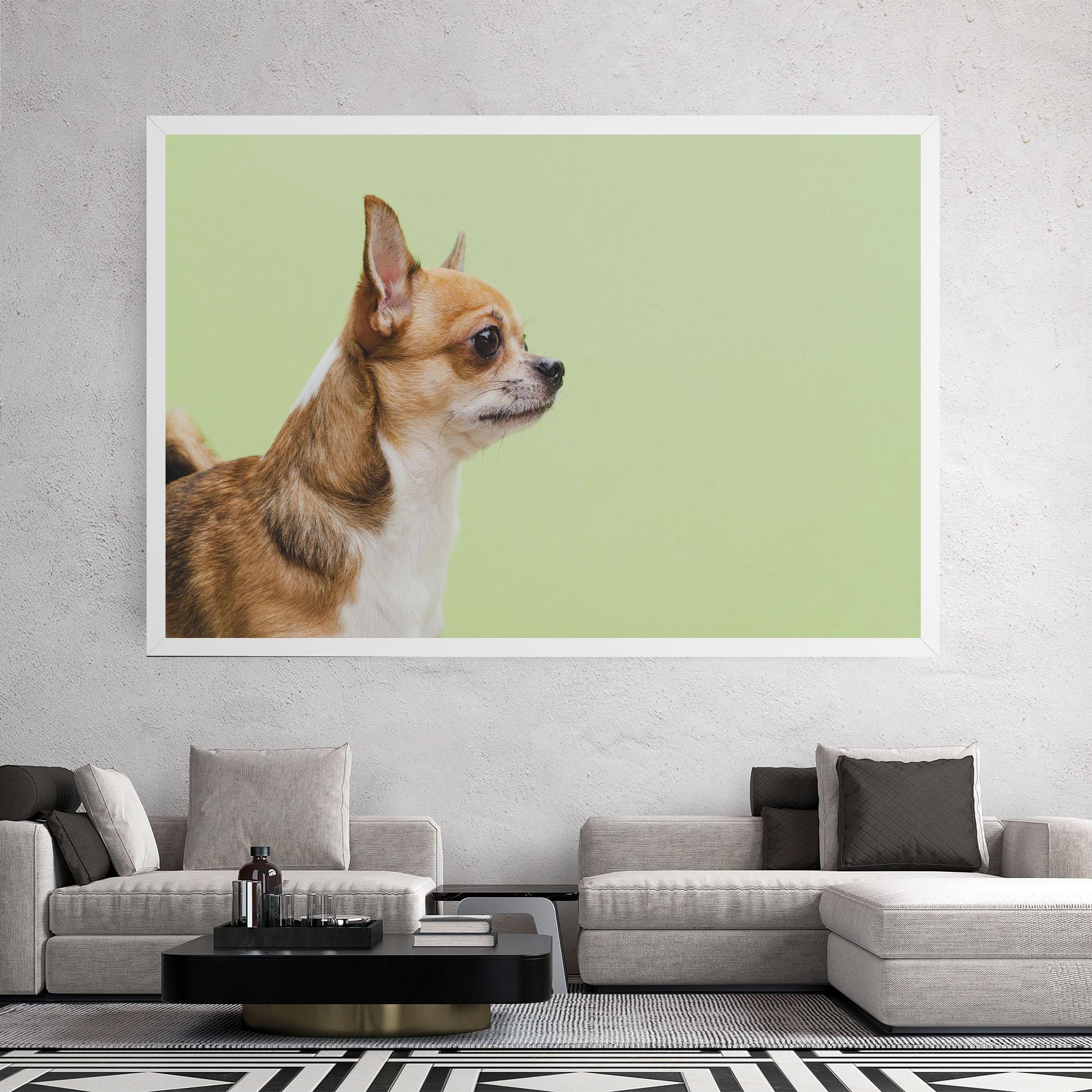 Tablou Canvas Chihuahua Dog mockup 2