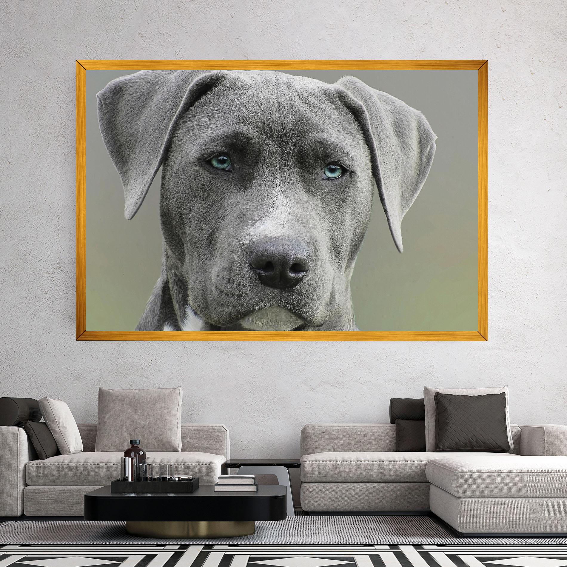 Tablou Canvas Blue Eyes Dog mockup 2