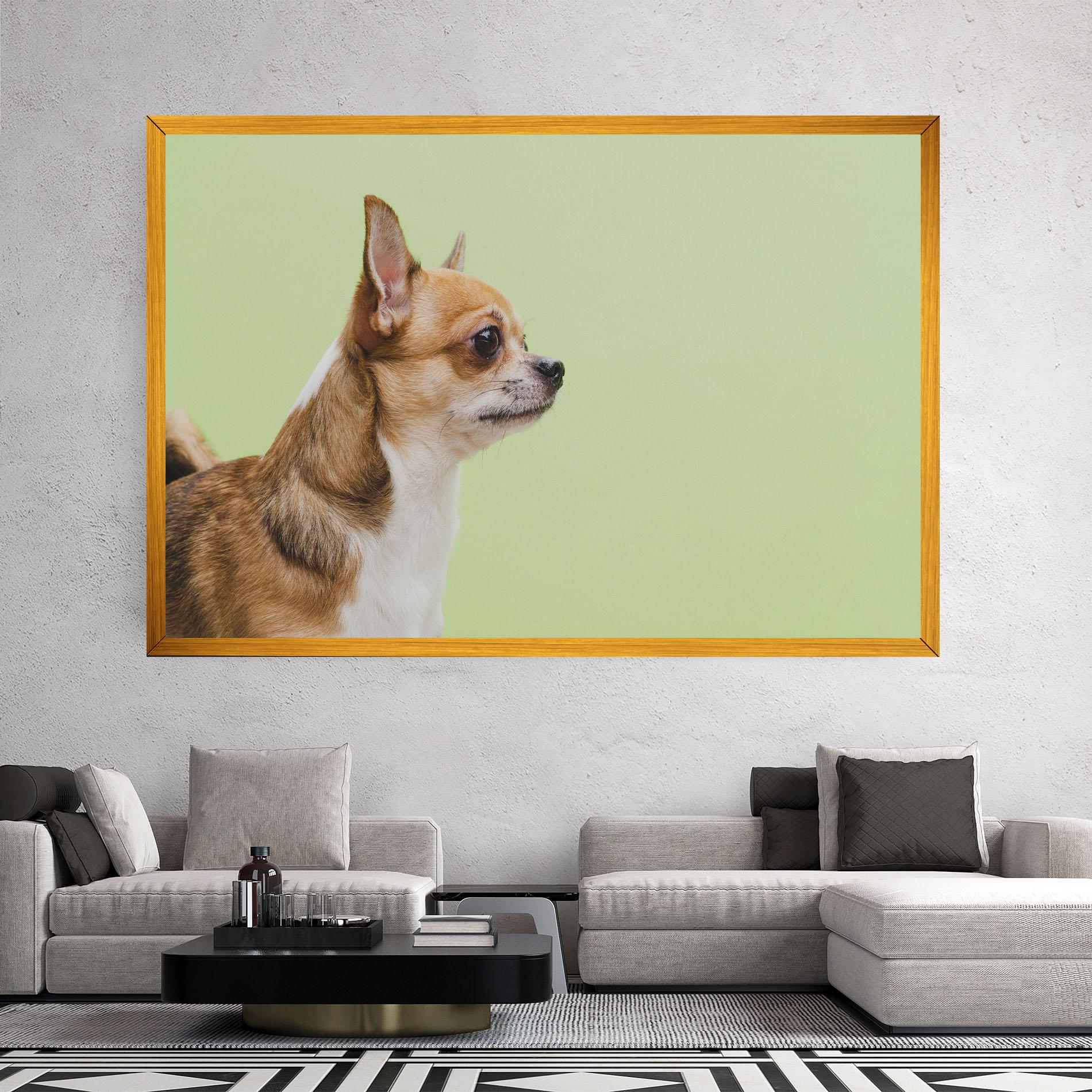 Tablou Canvas Chihuahua Dog mockup 2