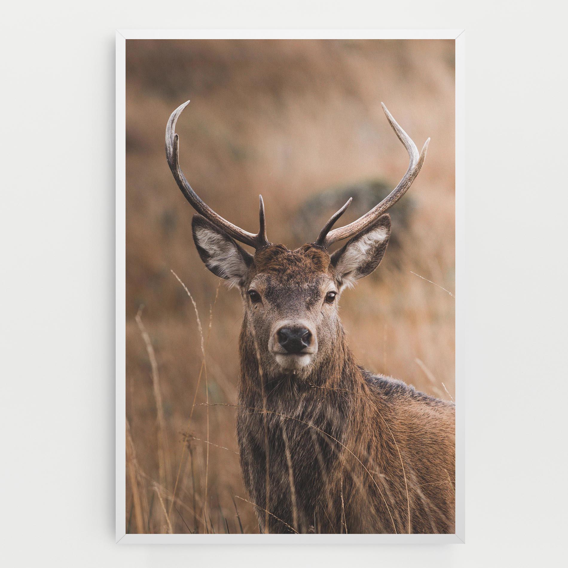 Tablou Canvas Majestic Deer mockup 0